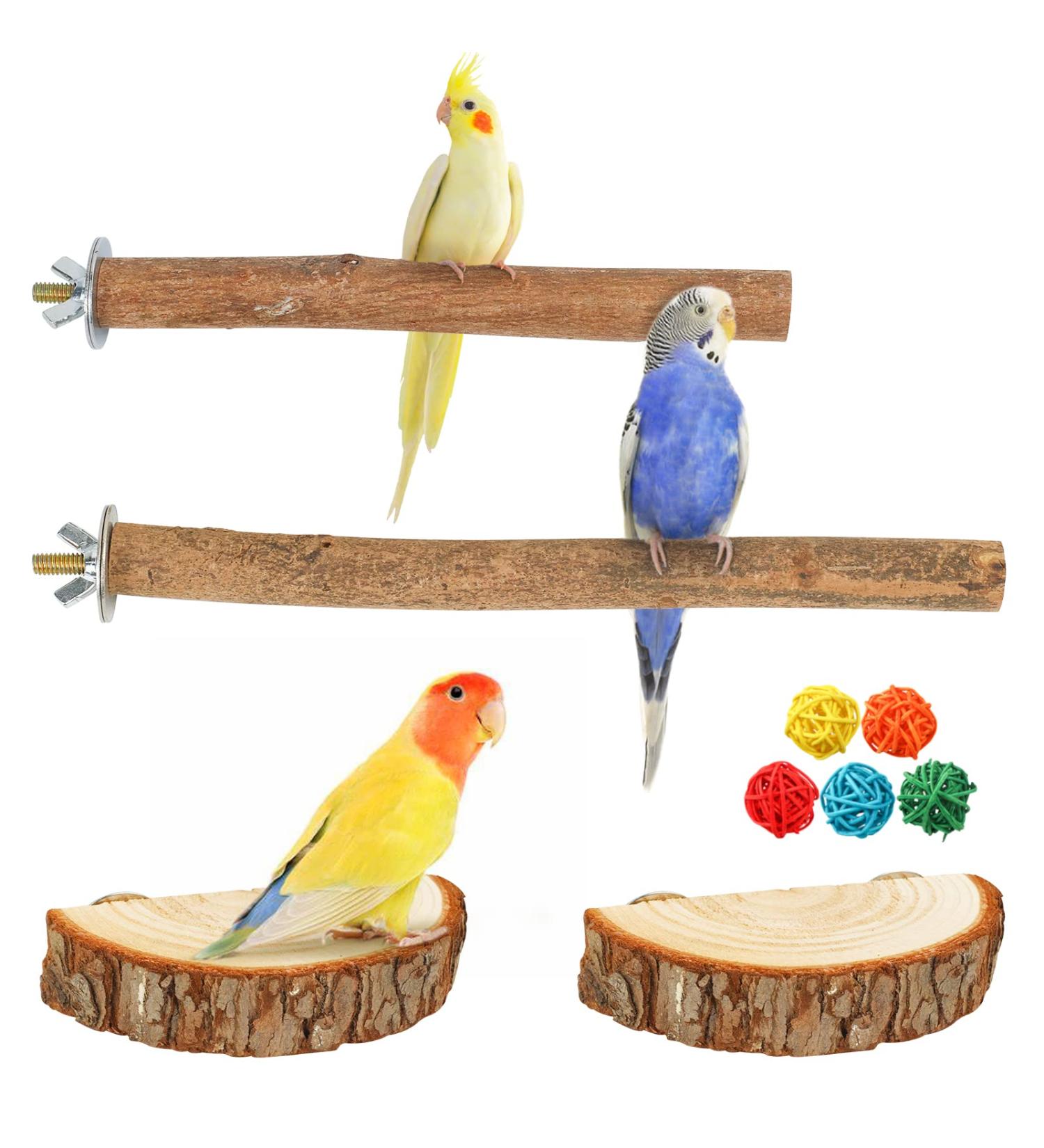 Reyshin 4-Piece Nature Birds Budgie Playground & Nibble Toys | Bird Accessories with 5 Rat Balls for Canaries & Lovebirds - Buy Online on GoSupps.com