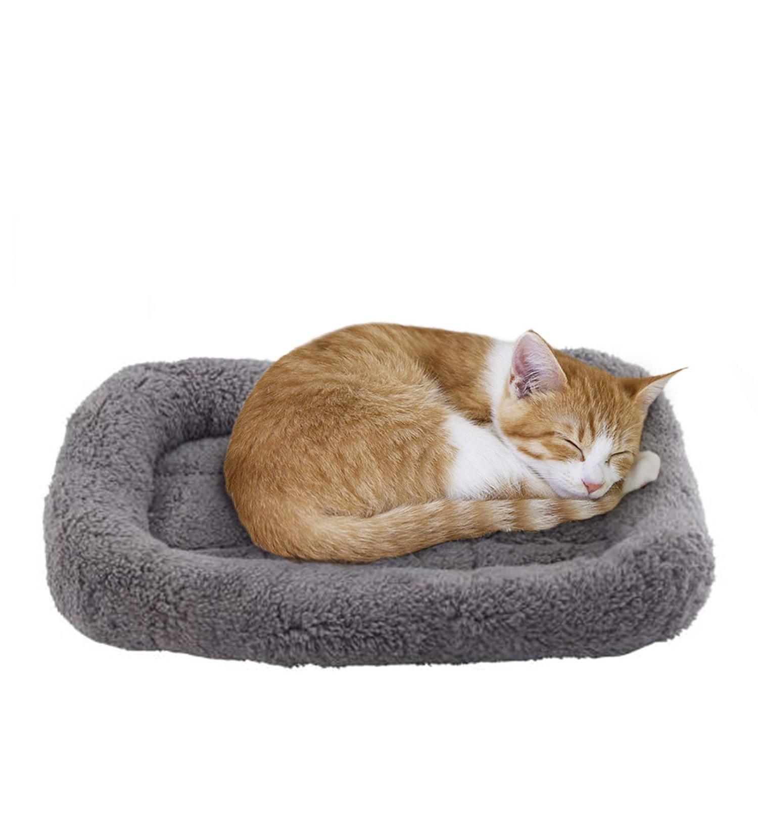 Lesypet Cat Bed Mat - Small Washable Pet Mat for Cats and Dogs - Buy Online on GoSupps.com