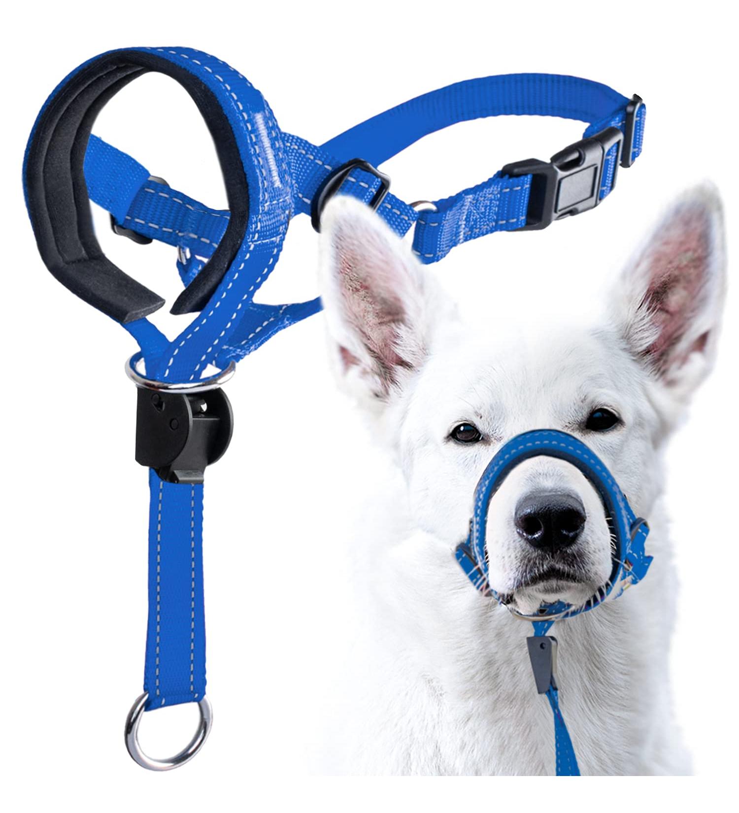 Goodboy Dog Halver - No Pull Leash Control for Small Medium & Large Dogs | Size 3 Blue Nylon with Black Padding | Comfortable Training Solution - Buy Online on GoSupps.com