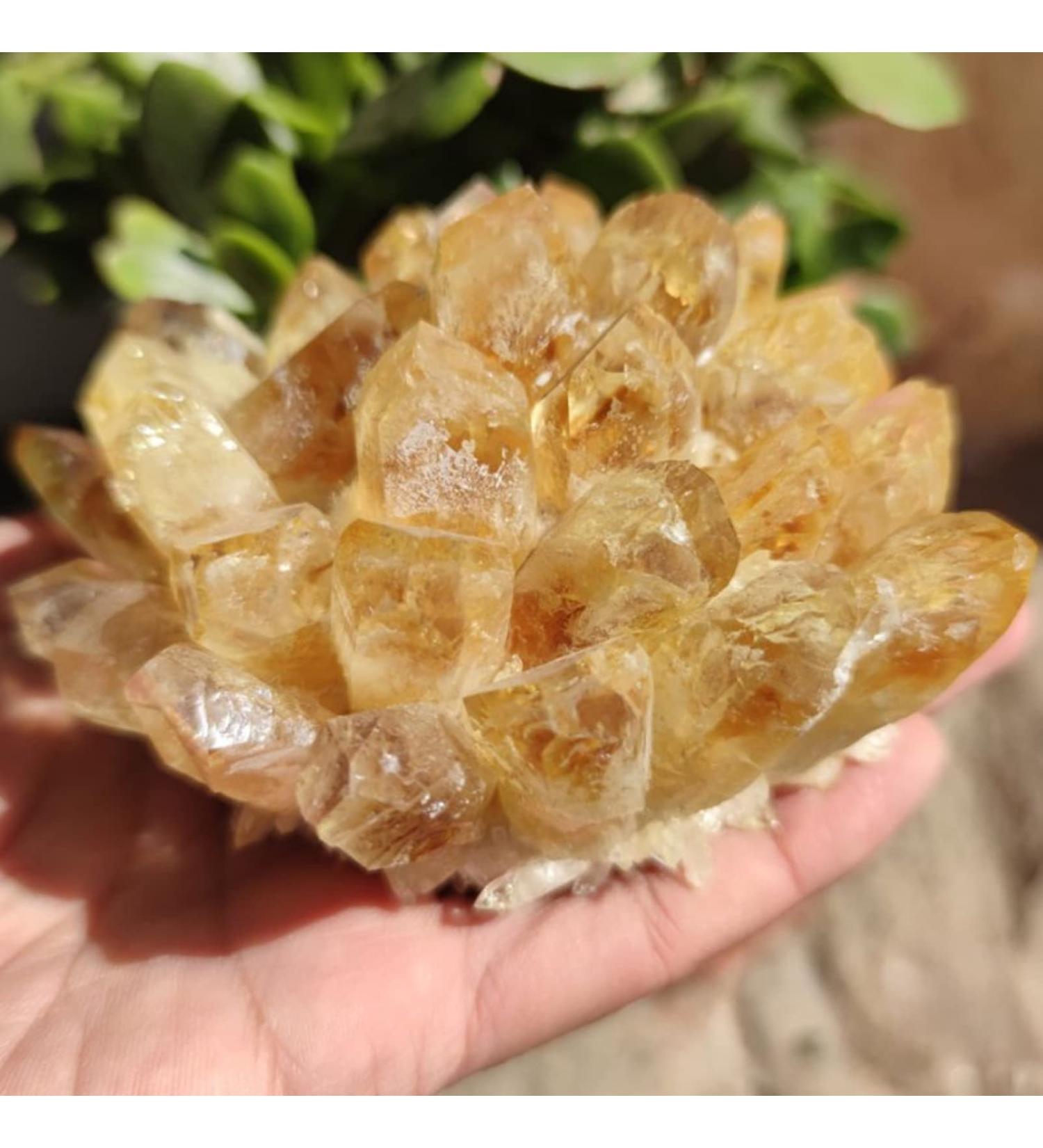 Crystals and Stones Natural Raw Citrine Quartz Crystal Cluster Yellow Irregular Specimen Home Decoration Aquarium Ornaments Crystal Cluster (Color : Yellow Size : 300-400g) 300-400g Yellow - Buy Online on GoSupps.com