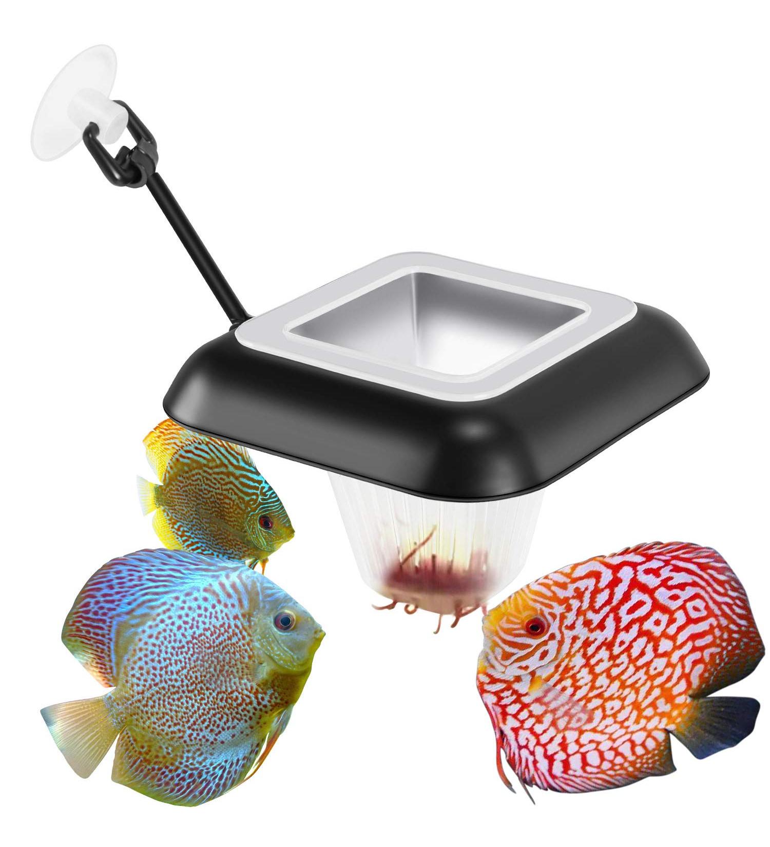 Fischuel Aquarium Feeding Ring for Fish Food - Floating Square Feeder with Suction Cup - Black - Buy Online on GoSupps.com