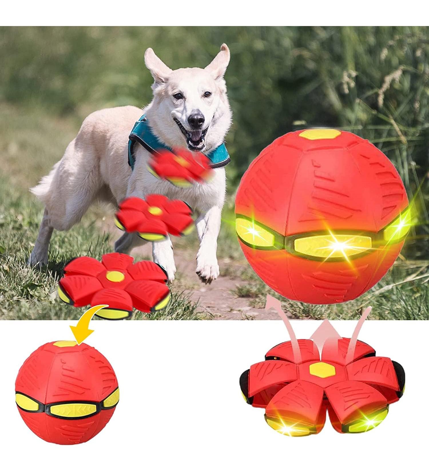 Shop Red Light-Up Flying Frisbee Ball Toys for Dogs - Best Pet Toys for International Shipping - Buy Online on GoSupps.com