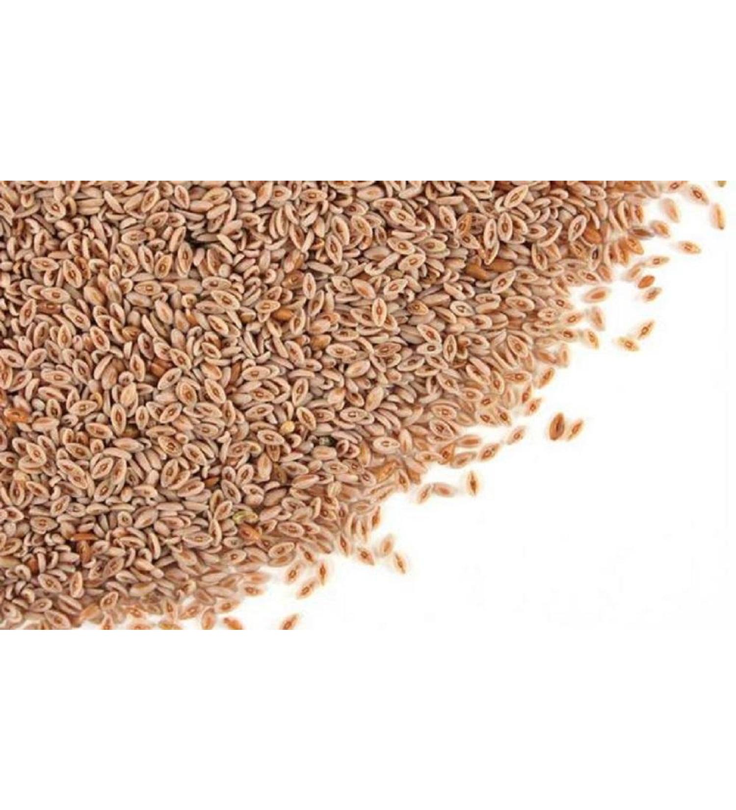 Stone Creek Health Essentials Psyllium Seed Husk Whole (1 lb)