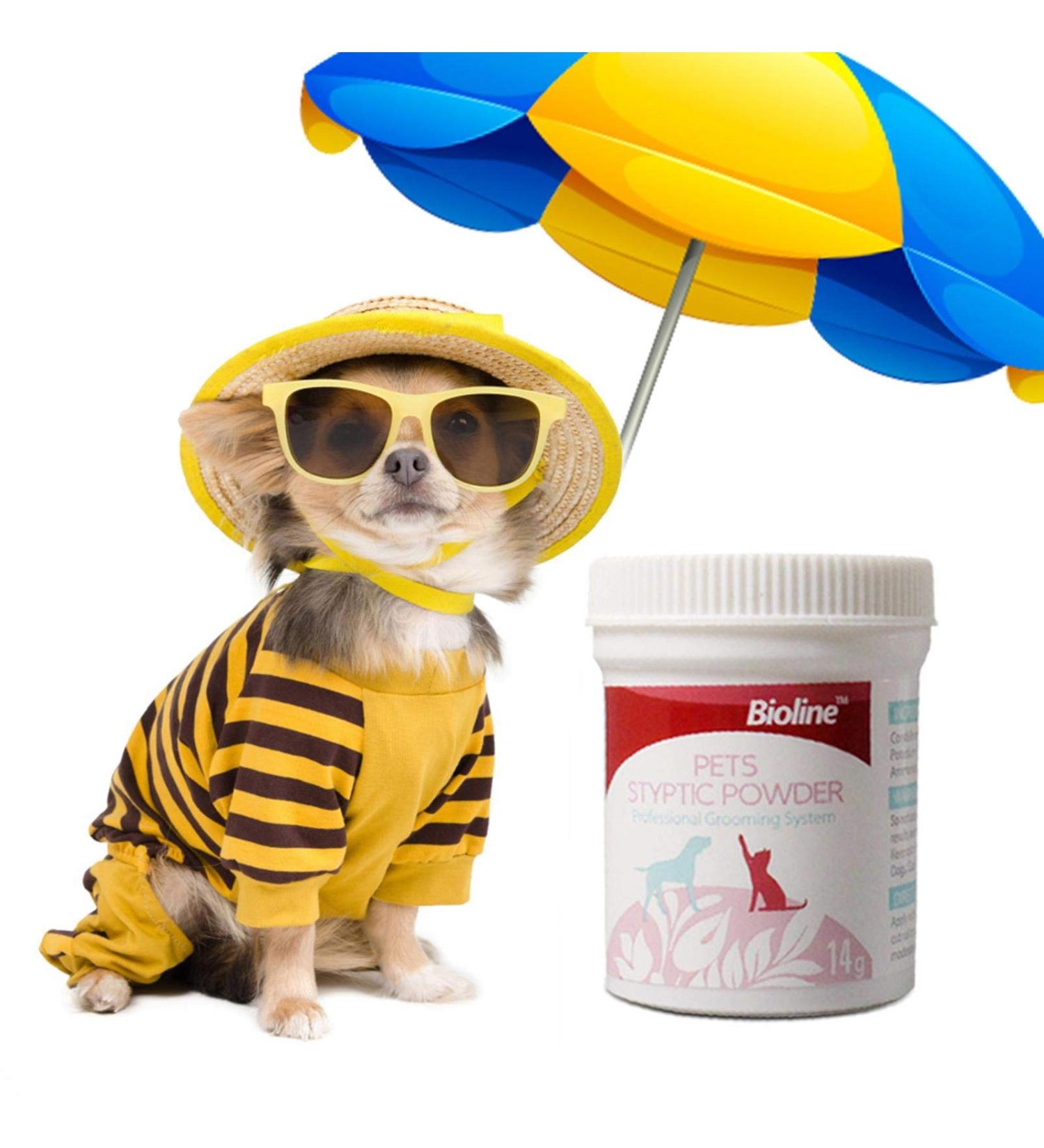 Pet Styptic Powder Anti-inflammatory and Anti Analgesic Powder for Cats and Dogs Pet Medical Supplies Styptic Powder for Traumatic Dogs(14g 1pcs) - Buy Online on GoSupps.com