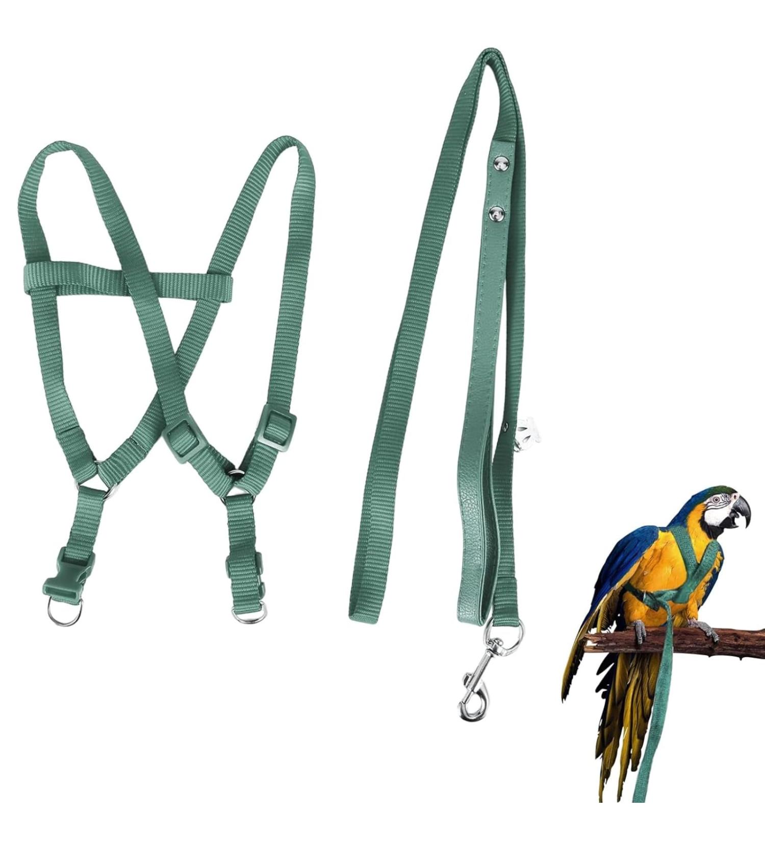 Felenny Bird Dishes & Adjustable Leash - Essential Outdoor Accessories for Scarlet Red Ara Sun Conure & Nymphensittich (Green Small) - Buy Online on GoSupps.com