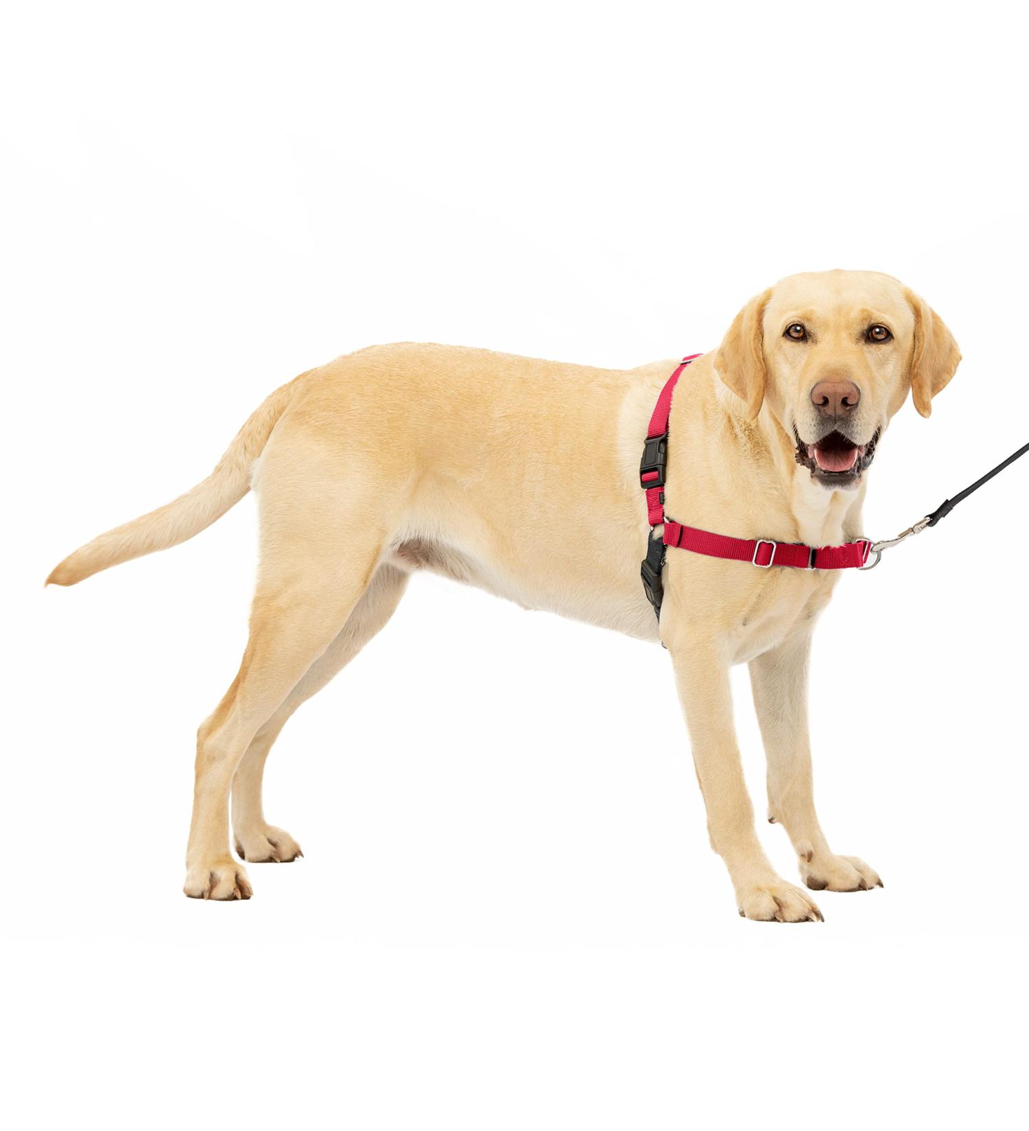 PetSafe Easy Walk Harness - Anti-Pull Dog Harness with 1.8M Leash - Size XL Red - Reduces Choking & Coughing - International Shipping Available - Buy Online on GoSupps.com