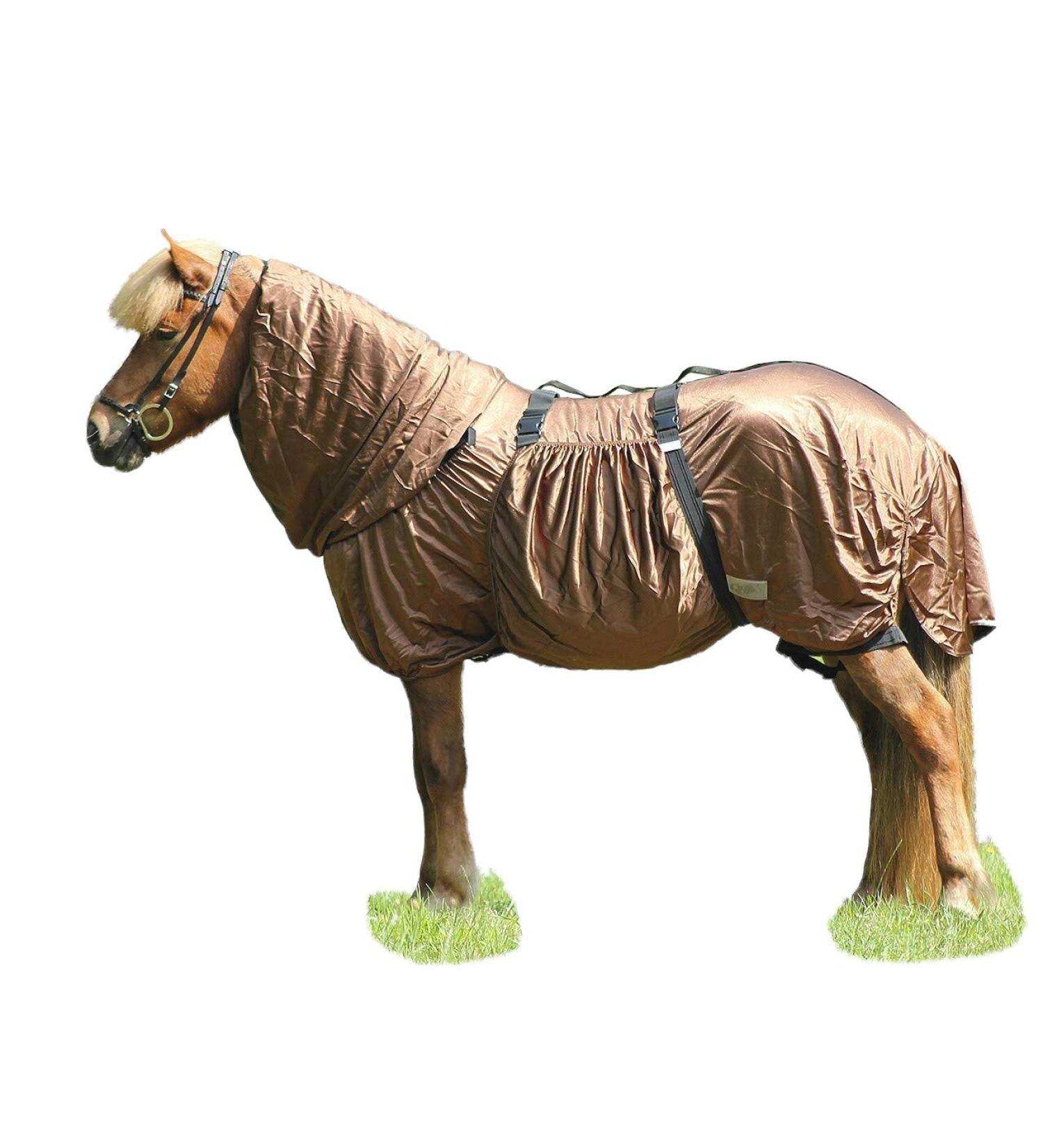 NetProShop Special Icelandic Quality Eczema Blanket for Horses - Size 130 Brown | Ideal for Icelandic Horses - Buy Online on GoSupps.com