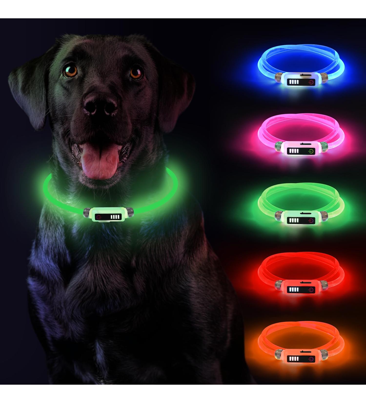Shop Luminaire LED Dog Collar - USB Rechargeable Waterproof Adjustable | 3 Lighting Modes for Small & Medium Dogs & Cats - Green - Buy Online on GoSupps.com