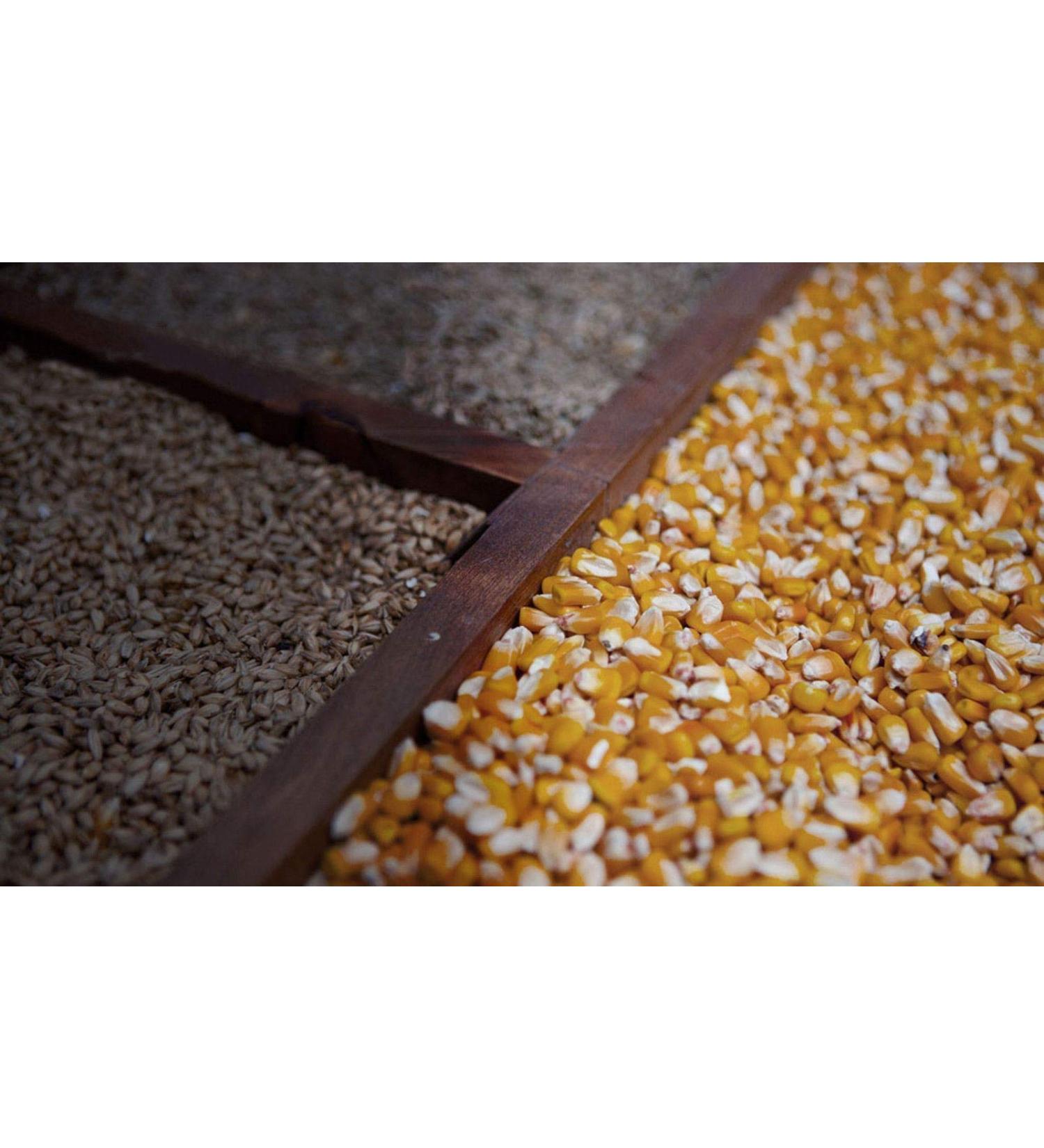 Southern Boy Stills Moonshiners Blend 10 lb. - 80% Cracked Corn, 10% Rye, 10% Barley - Buy Online on GoSupps.com