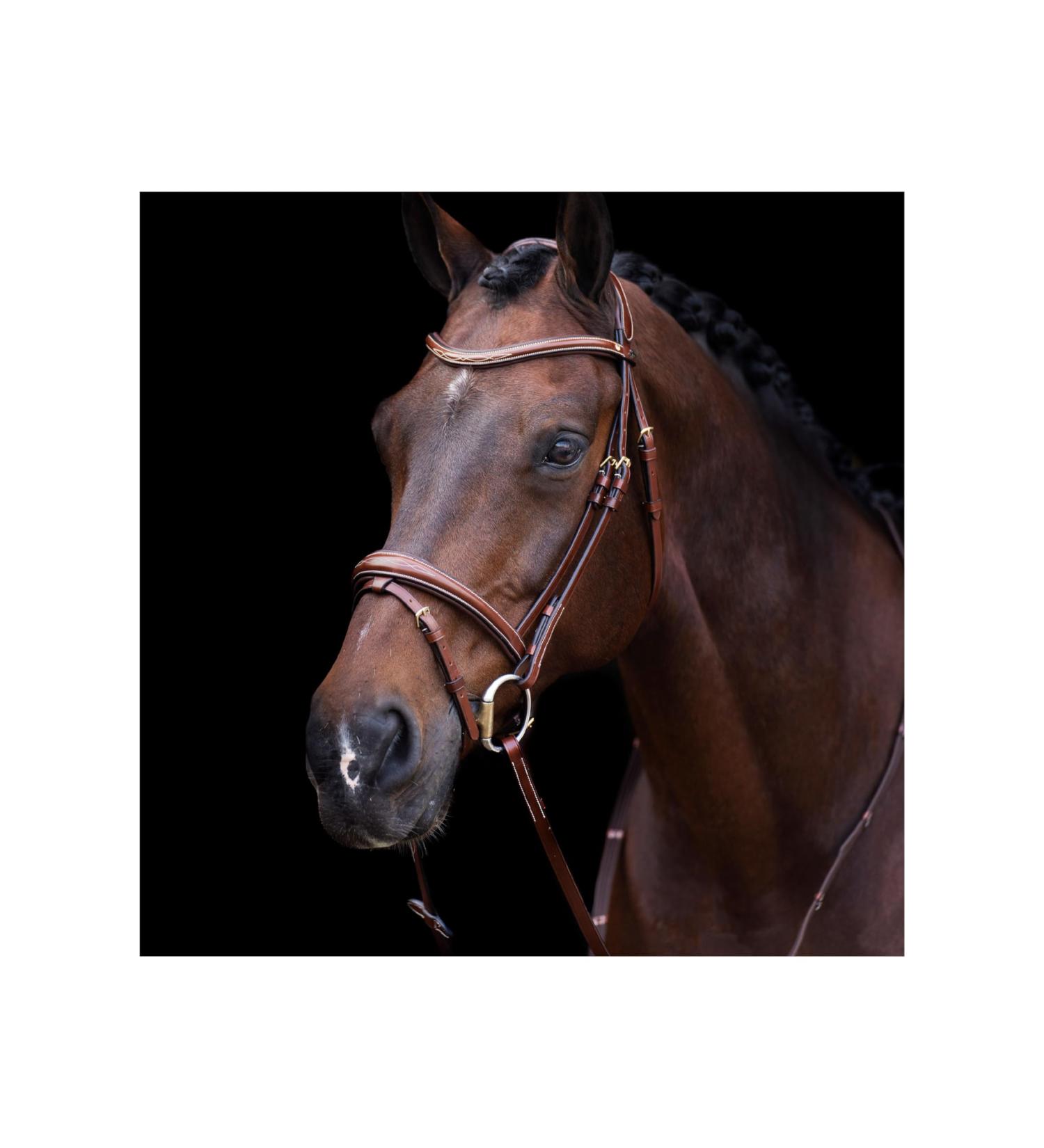 HV Polo Legacy Briglia - Marrone Full | Stylish Equestrian Gear for International Shipping - Buy Online on GoSupps.com