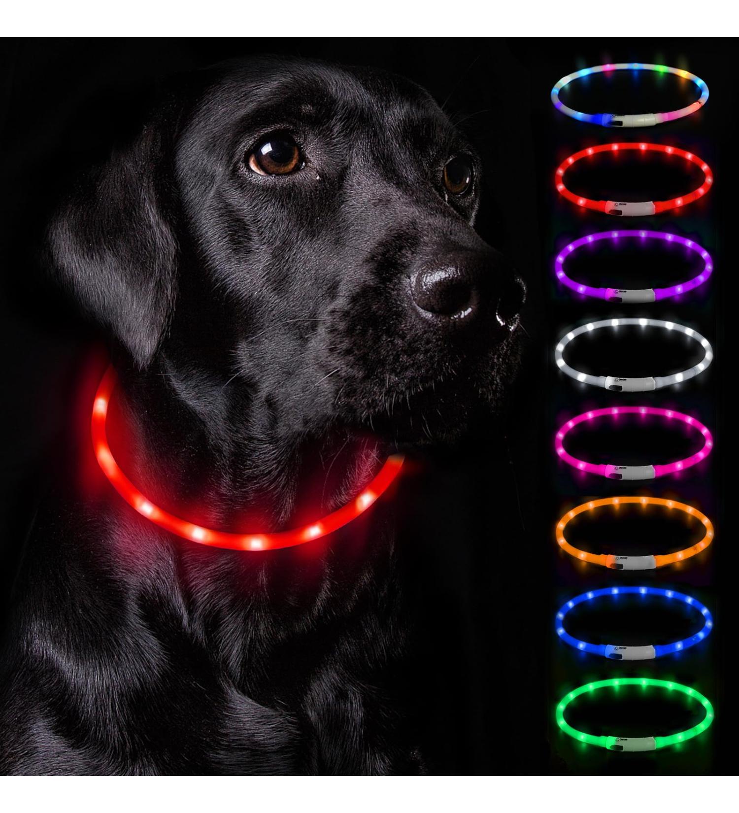 Buy Nepfaivy LED Dog Collar - USB Rechargeable Waterproof Adjustable Length 3 Lighting Modes for Safety - Red Silicone - Buy Online on GoSupps.com
