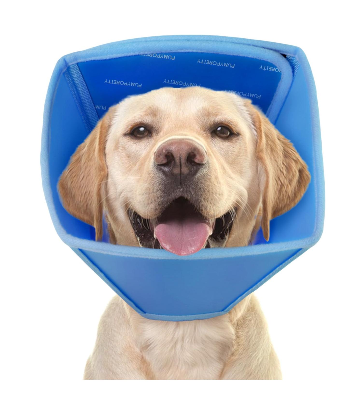 Adjustable Blue Dog Cone Collar - Leak Protection & Wound Care for Dogs & Cats | Prevent Bites & Promote Healing - Buy Online on GoSupps.com