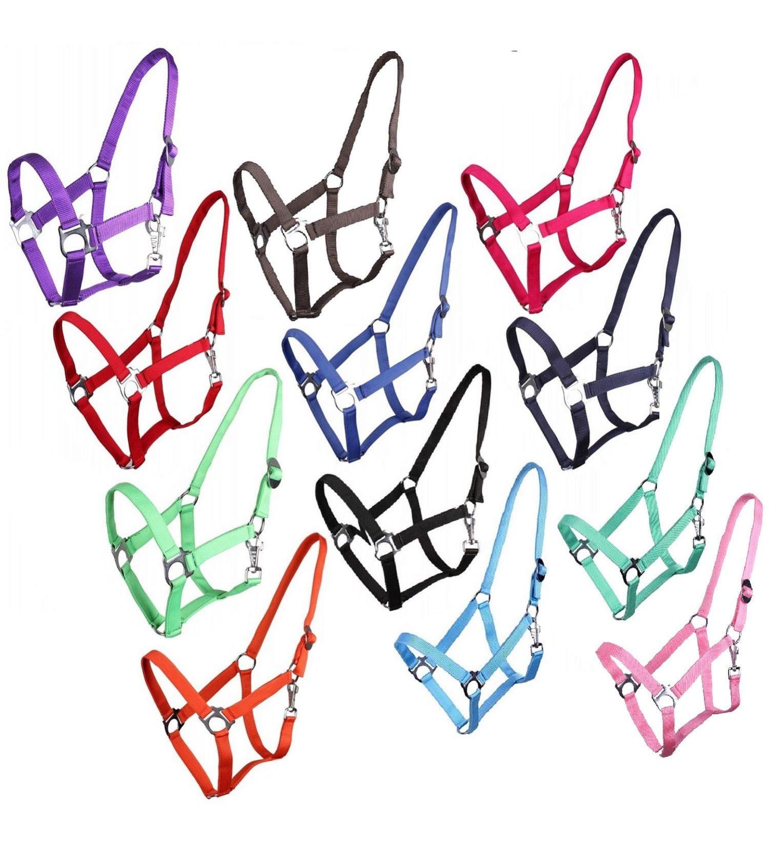 netproshop halter or guideline in single -colored for your favorites mini shetty up to XL full groesse: mini shetty color: red mini shetty red