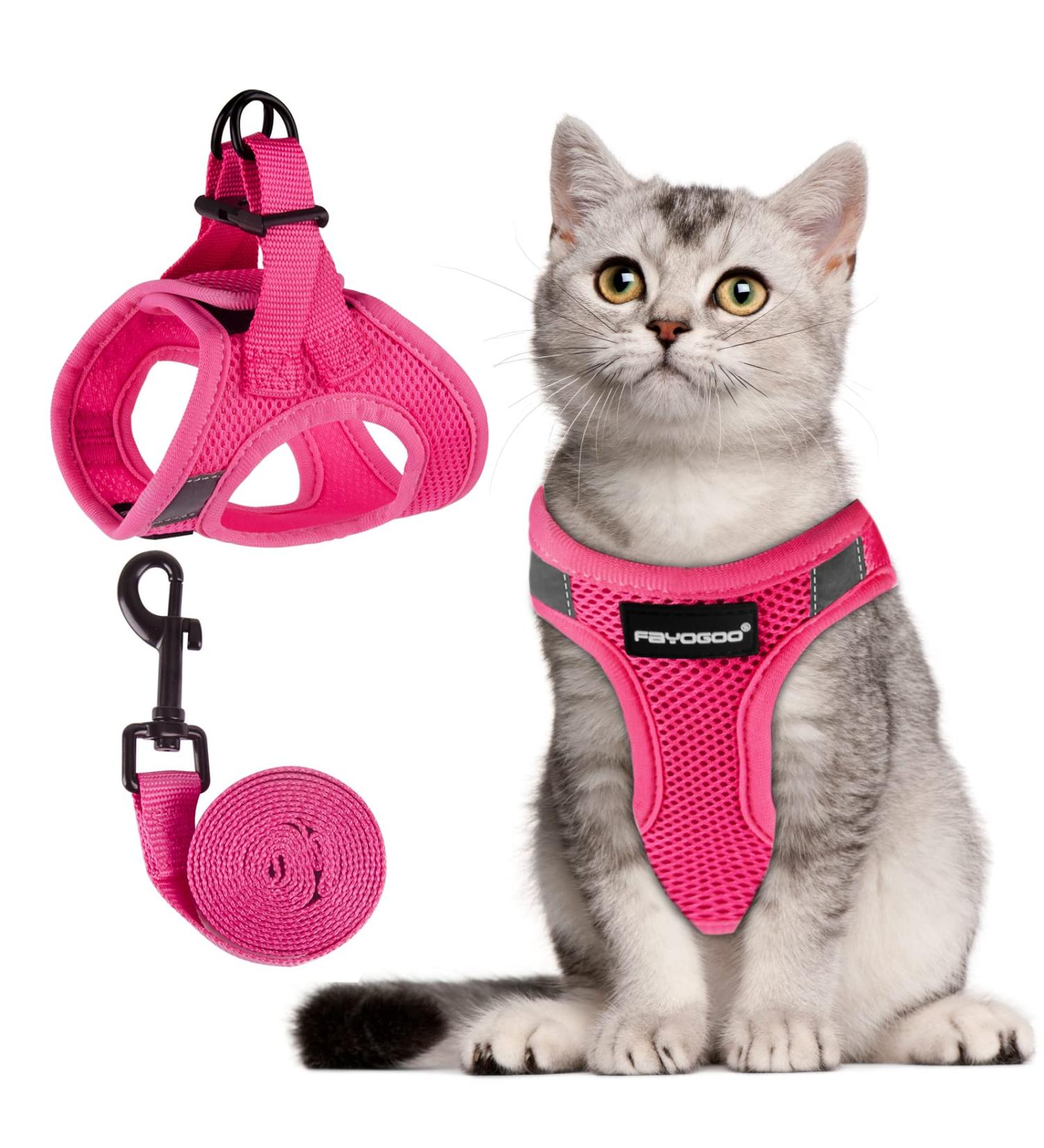 Fayogoo Cat Dishes - Leak-Proof Linen Cat Bowls for Safe Feeding | International Shipping Available - Buy Online on GoSupps.com