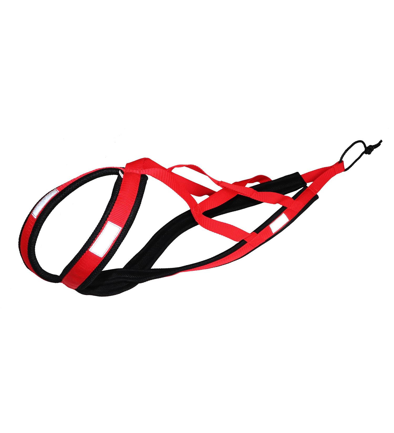 Northern Howl X-Back Dog Harness - Canicross Bike Skijoring & Dogscooting - Red XS - International Shipping Available - Buy Online on GoSupps.com