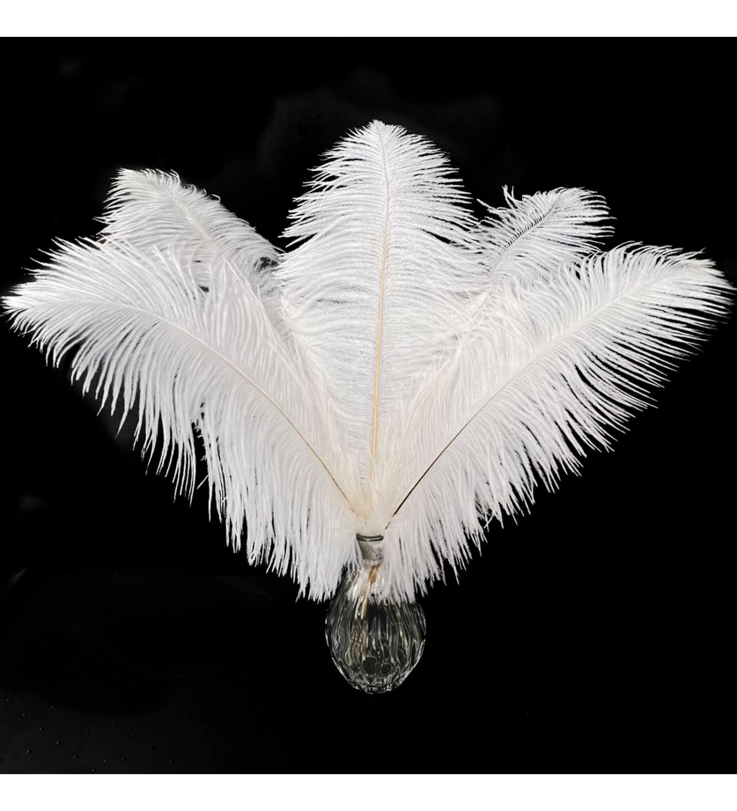 Piokio 20 pcs White Ostrich Feathers Plumes 10-12 inch | DIY Christmas & Wedding Party Decorations - Buy Online on GoSupps.com