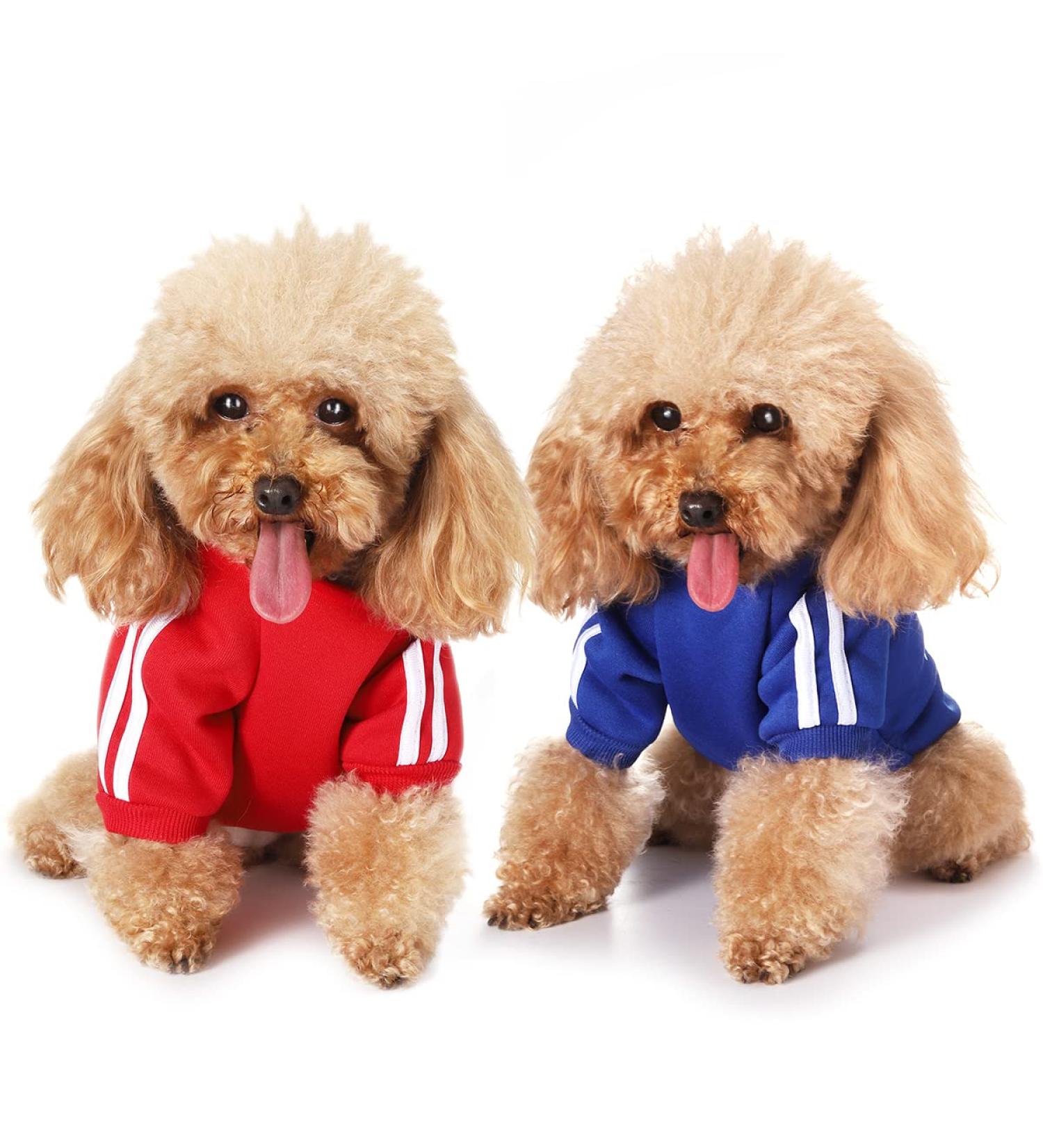 Cozy Dog Sweater for Small Dogs | Cute Cotton Hoodie - Warm Pet Coat in Dark Blue & Red - Buy Online on GoSupps.com