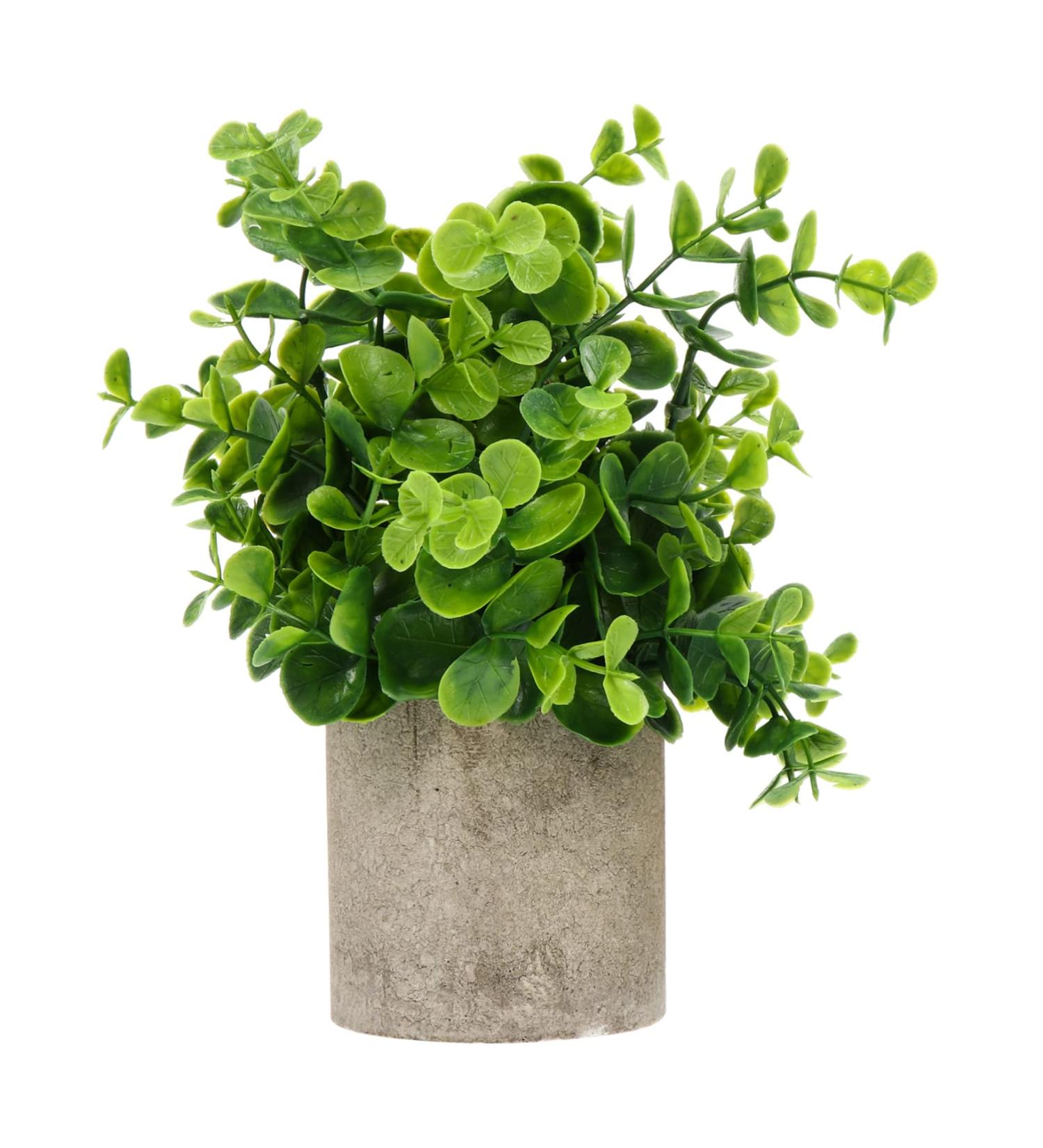 Zerodeko 4 Pcs Simulated Potted Plant Fake Green Plant Flowers Decoration Mini Succulent Plants Household Decor Fake Potted Plant Decor Desktop Ornament Cylinder Plastic Artificial Flower As Shownx4pcs 22x8cmx4pcs - Buy Online on GoSupps.com