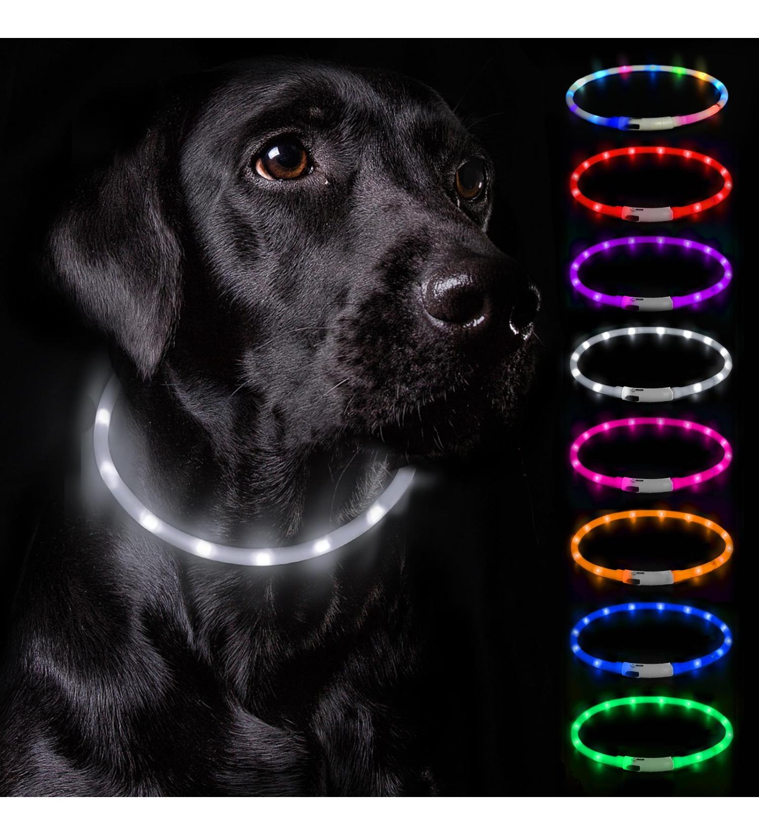 Nepfaivy Luminous Elbe Hund USB Charging Waterproof LED Dog Collar - Adjustable Length 3 Lighting Modes for Safety White Silicone | International Shipping - Buy Online on GoSupps.com