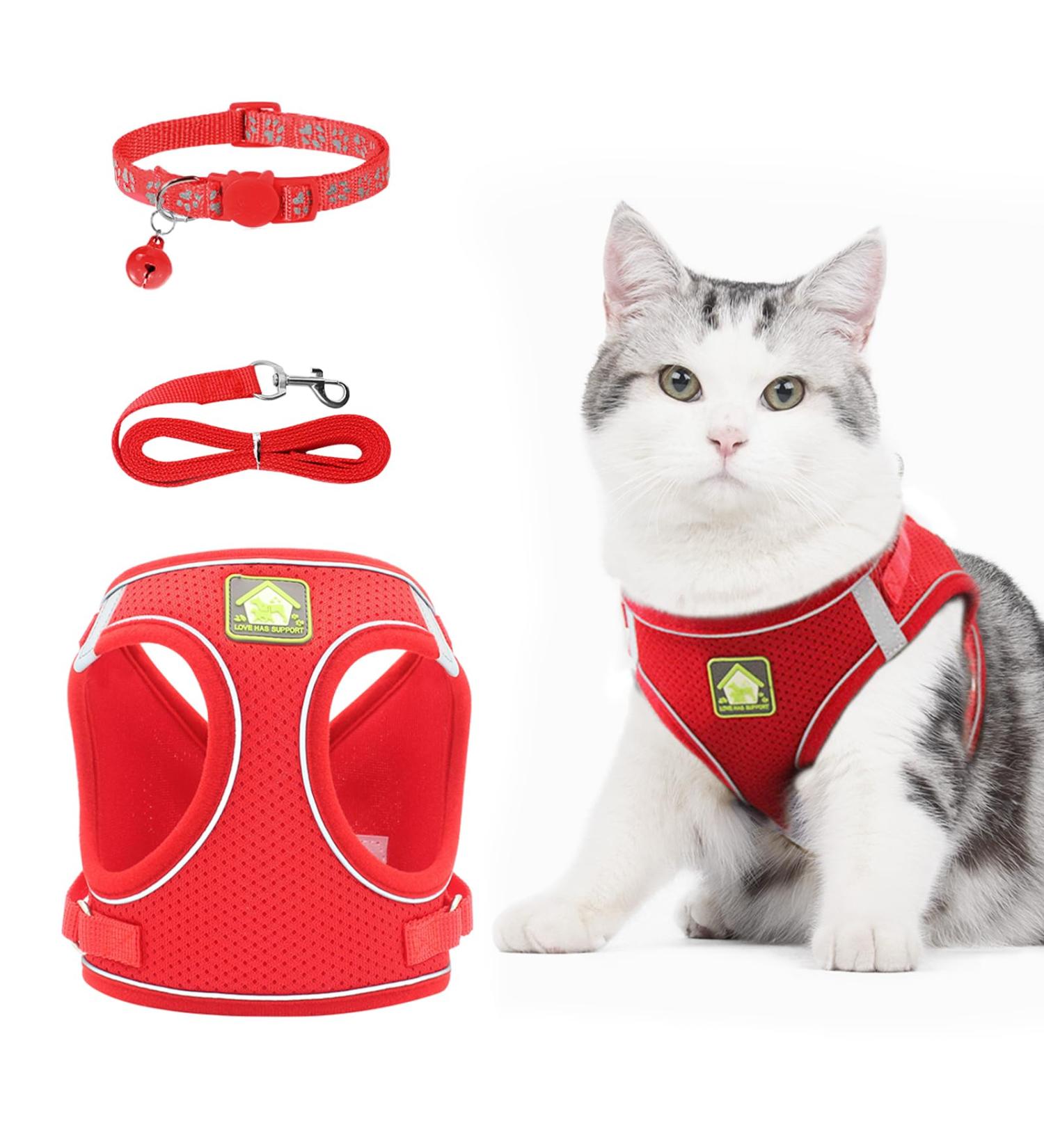 Neuwehe Cat Dishes Set - Leash Outbreak-Proof Cat Tableware with Adjustable Reflective Harness for Kittens/Dogs (XS Red) - Buy Online on GoSupps.com