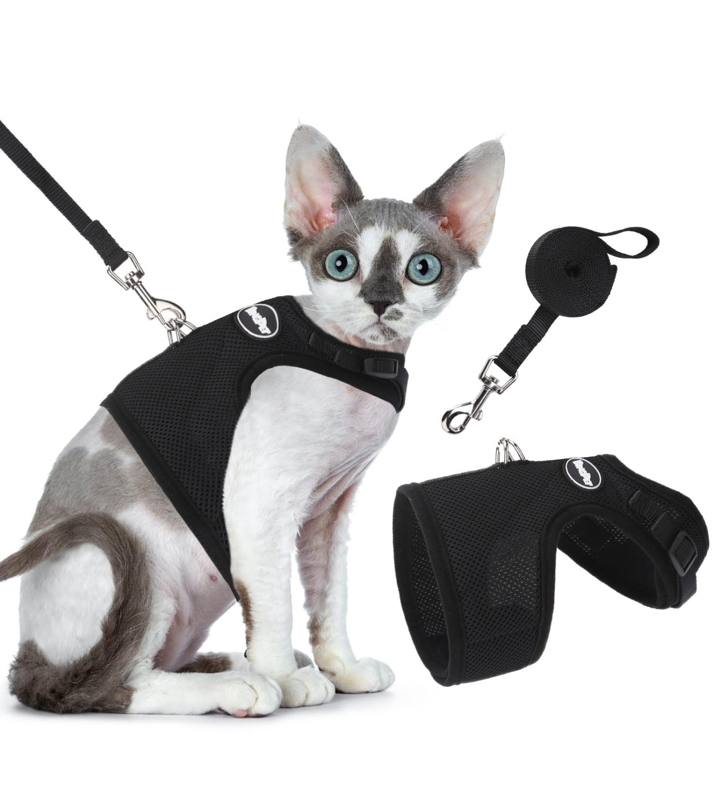 Bingpet Adjustable Cat Dishes & Leash - Soft Network Holster for Small to Large Cats | International Shipping Available - Buy Online on GoSupps.com