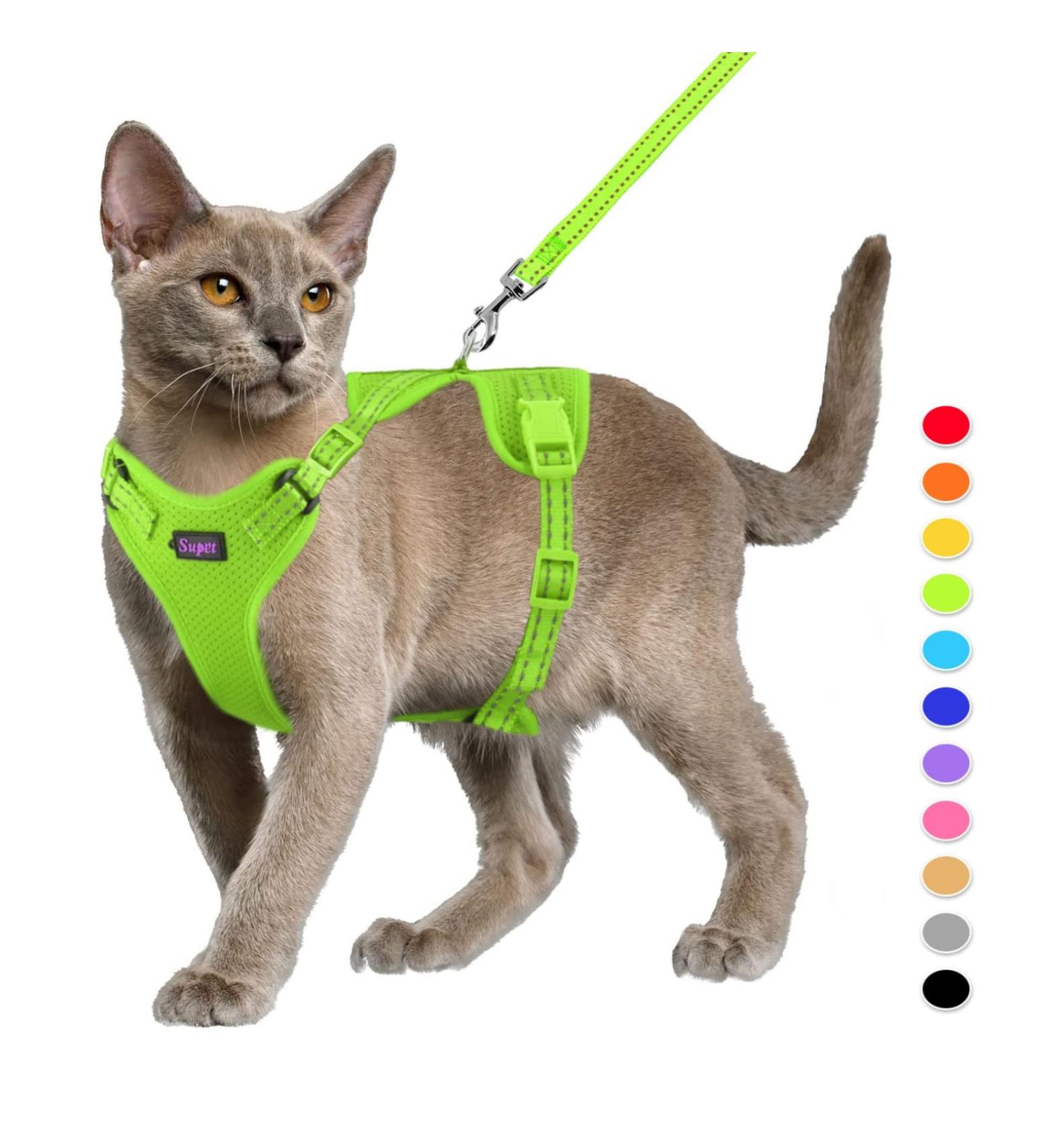 Buy Supet Cat Dishes & Harness Set - Fleeing Kitten Cat Vest Universal Leash & Dishes for Cats/Puppies (M) - Green - International Shipping Available - Buy Online on GoSupps.com