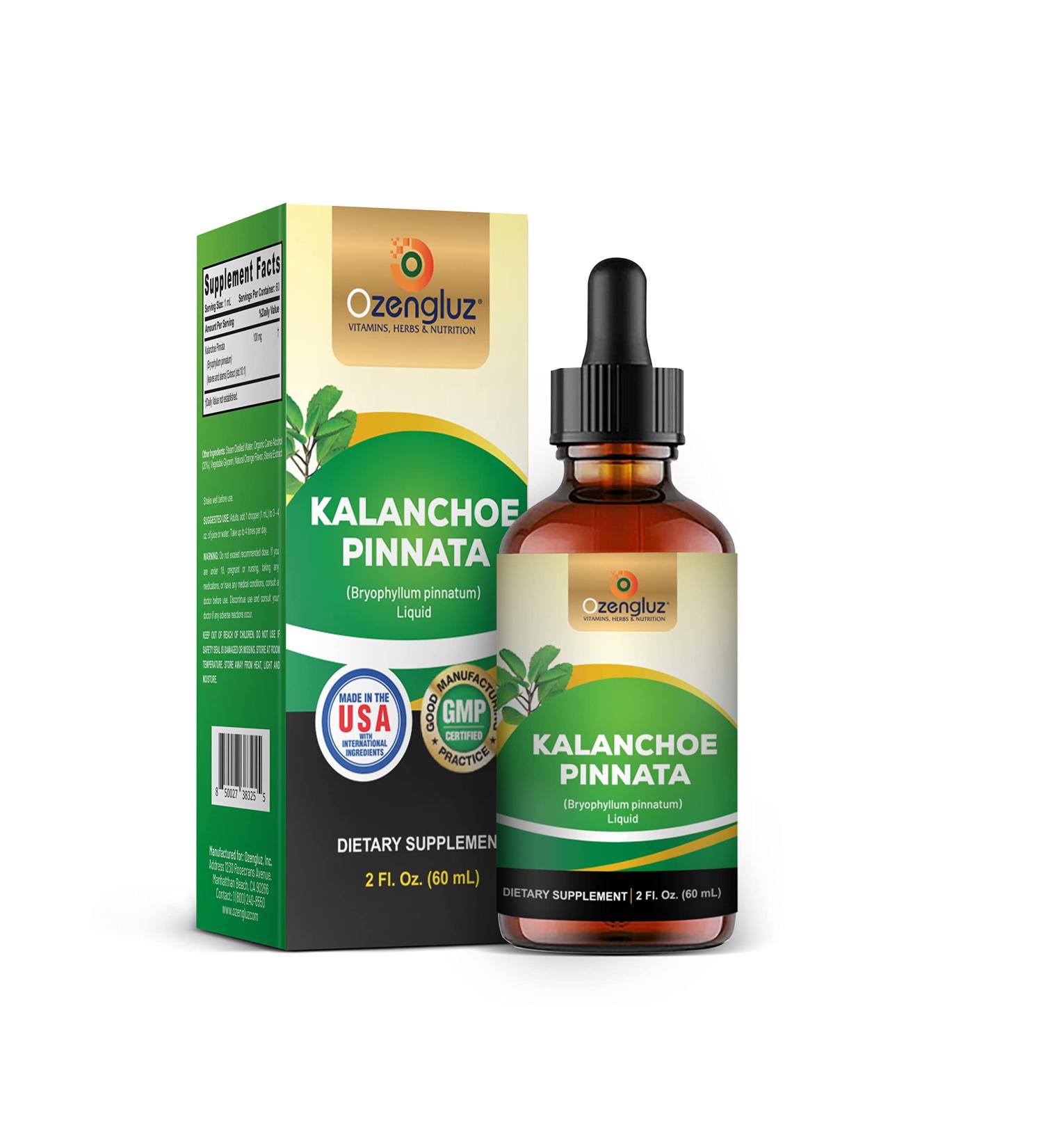 Ozengluz Kalanchoe Pinnata (Bryophyllum Pinnatum) Glycerite Dried Leaf and Stem Liquid Extract. Herbal Supplement Antioxidantes de Kalanchoe Pinnata-Siempreviva. 1 Bottle. - Buy Online on GoSupps.com