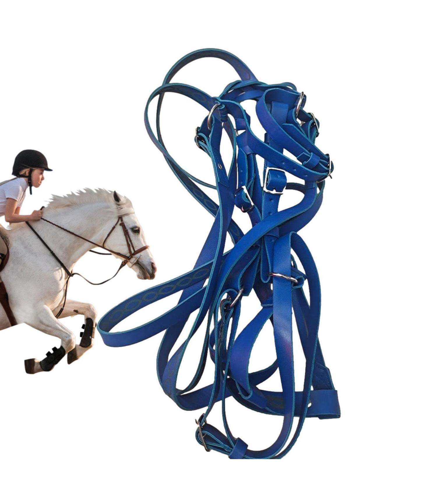 Horse Halter Heavy Duty Chin and Throat Snap Halter Horse Comfortable Padded Nylon Horse Halter for Training Equestrian Grooming Lambo Blue - Buy Online on GoSupps.com