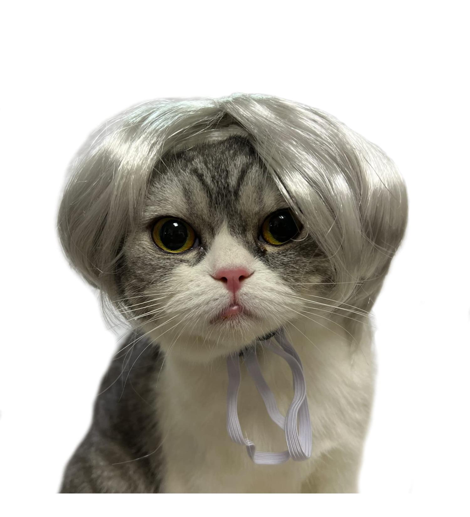 Funny Dog & Cat Role Play Wig - Perfect for Halloween Christmas & Parties | Silver White Pet Wig for Small Medium & Large Dogs - Buy Online on GoSupps.com