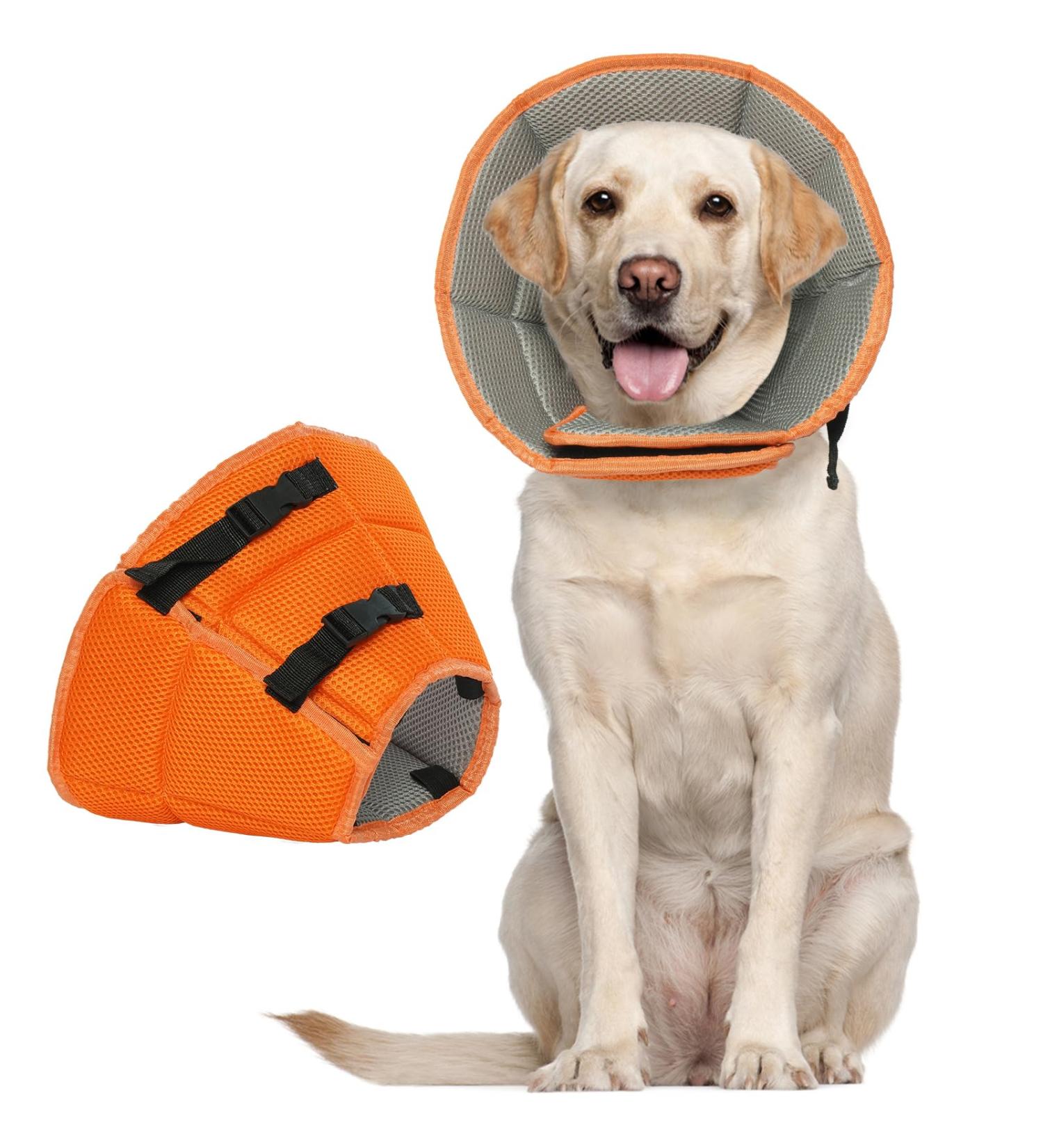 Kuoser Rescue Dog Collar - Adjustable Leak Protection for Dogs | Prevention of Bites & Wounds | XL (Neck 42-55cm) - Orange - Buy Online on GoSupps.com