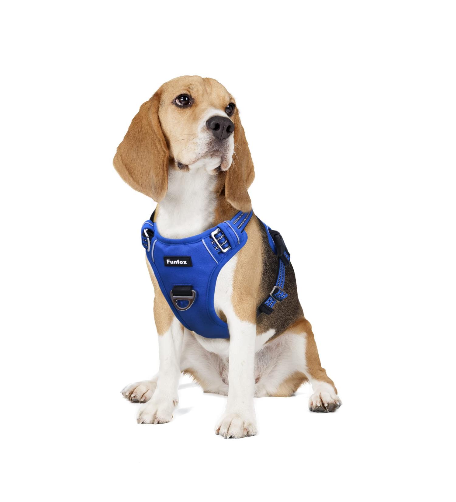 Funfox Adjustable No Pull Dog Harness for Medium Dogs - Breathable Safety Harness in Blue - Buy Online on GoSupps.com