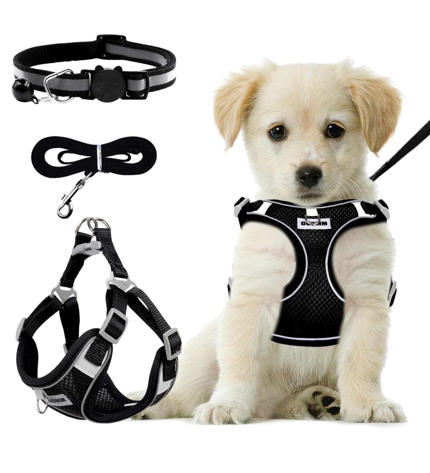 Rafiyu Anti-Zug Dog Harness for Small & Medium Dogs Breathable Lightweight Safety Harness for Puppies & Dogs - Perfect Fit for Comfort - Buy Online on GoSupps.com