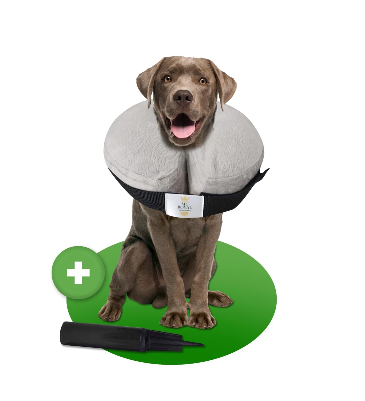 MC-Royal Premium Inflatable Collar for Dogs & Cats | XL Protective Breakthrow | Reliable Leakage Protection  - Buy Online on GoSupps.com