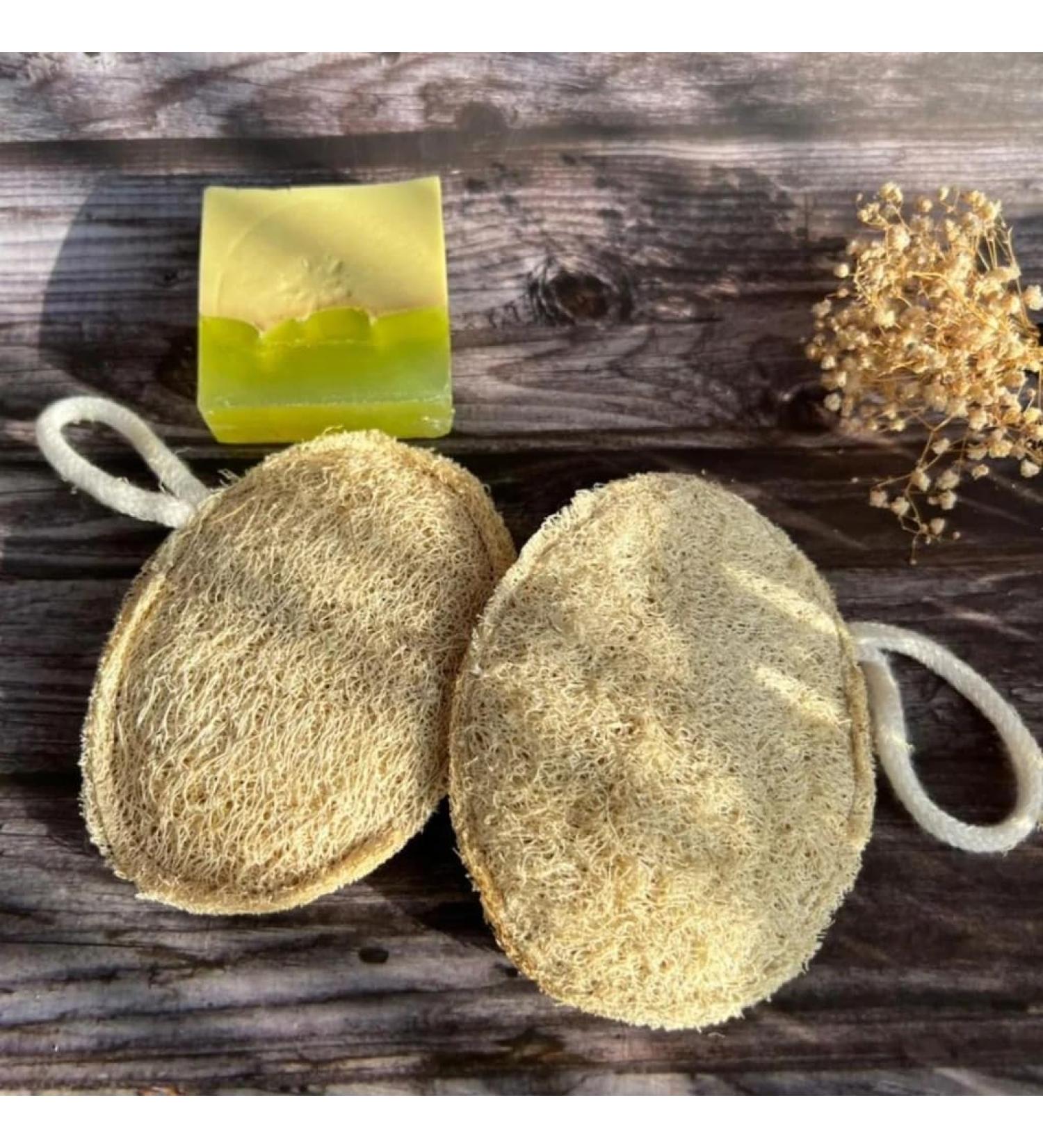 Big Leaf Egyptian Loofah Sponge | 100% Natural Organic Exfoliating Body Scrubber | Textured Oval Shower Sponge for Men Women & Kids | Ideal for Cellulite & Dry Skin - Buy Online on GoSupps.com