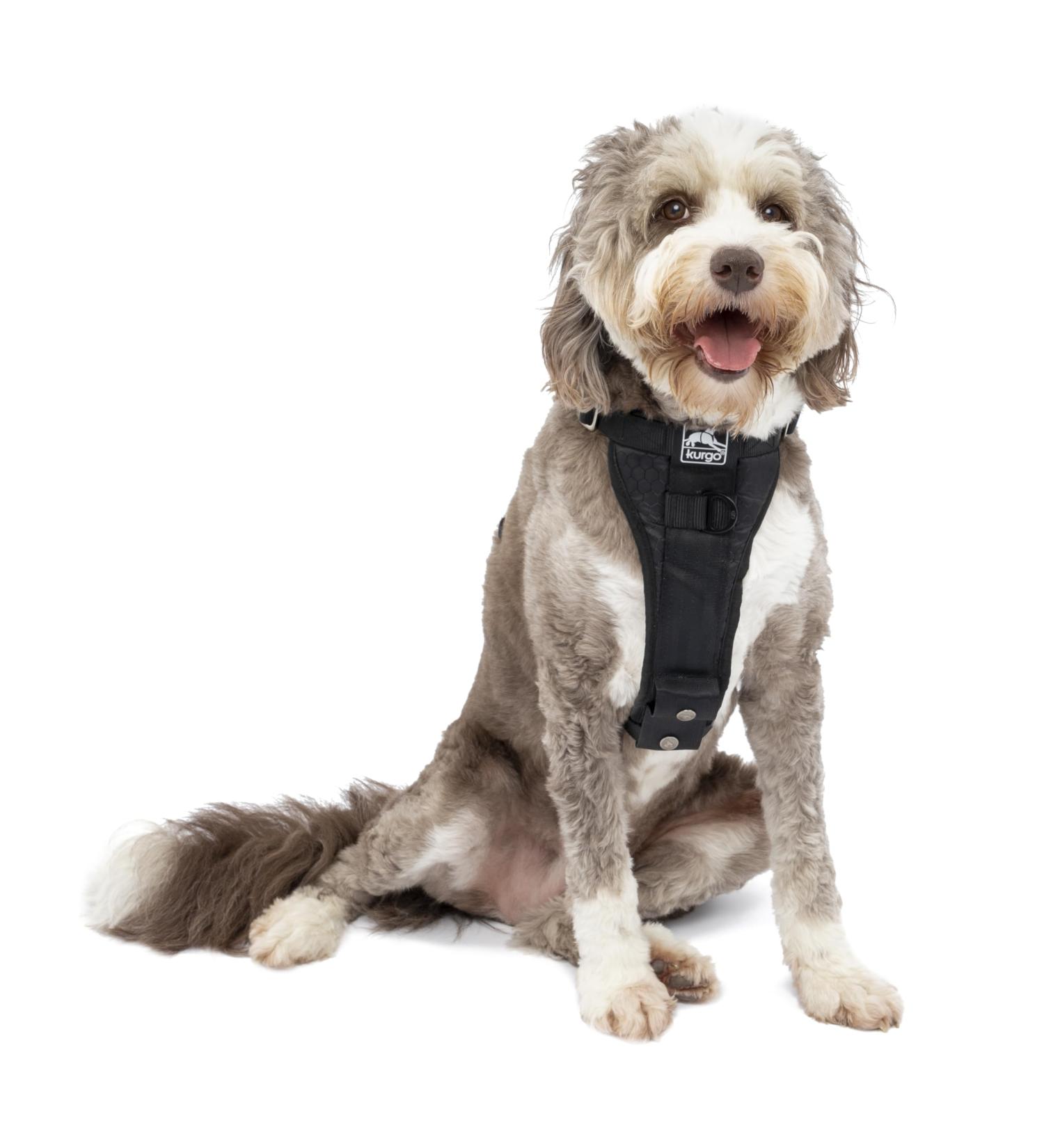 Kurgo Enhanced Tru-Fit XL Dog Seat Belt - Crash-Tested Car Safety for Dogs 34-47 kg - Black - Buy Online on GoSupps.com