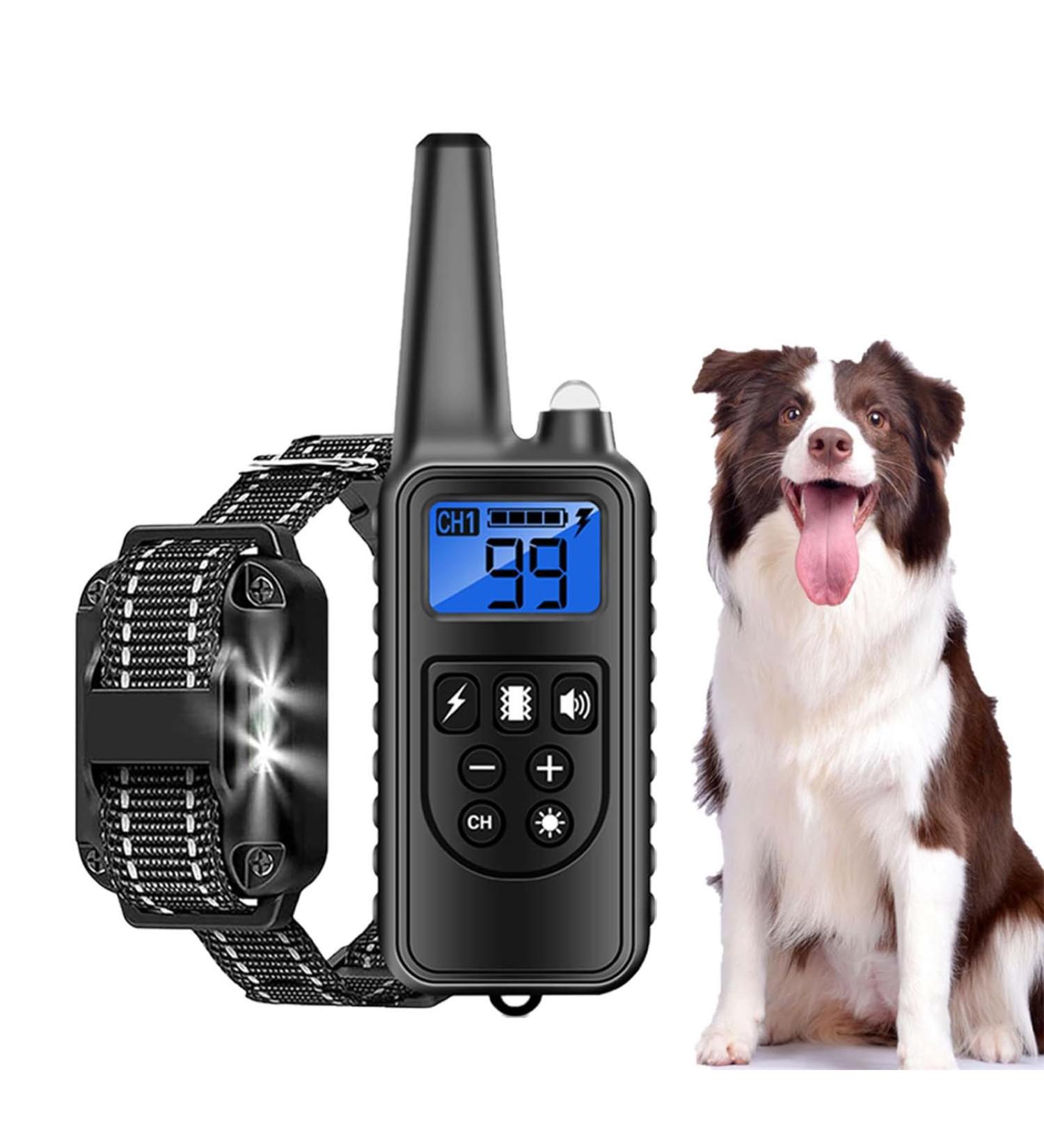 Buy Classic Nylon Dog Collars - Breathable Waterproof Easy to Handle for All Sizes | International Shipping Available - Buy Online on GoSupps.com