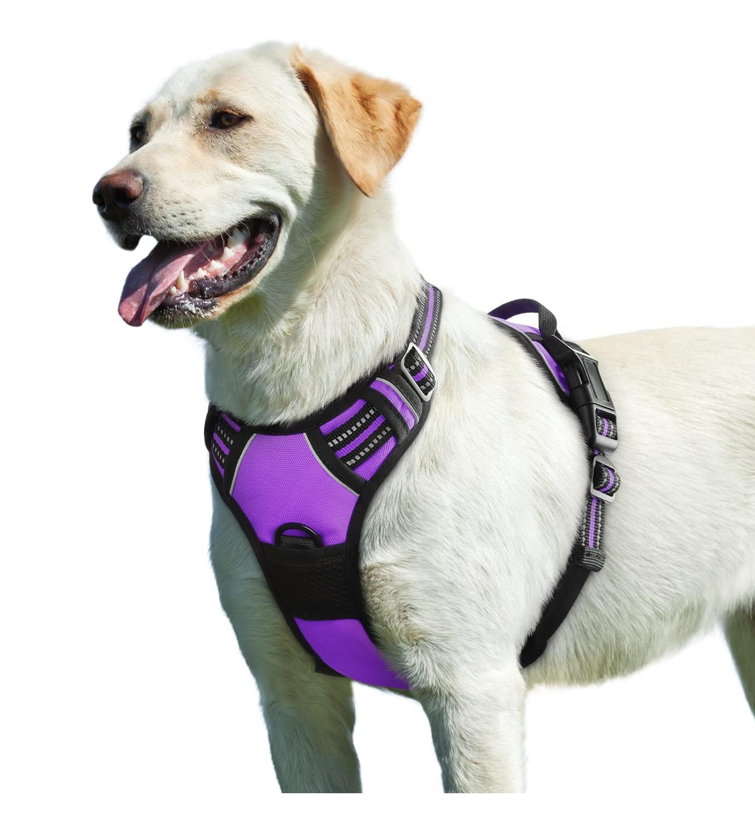 Eagloo Dog Harness for Large Dogs - Adjustable Anti-Train Control Harness with Reflex Strips Purple - Perfect for Labradors (1 Pack) - Buy Online on GoSupps.com