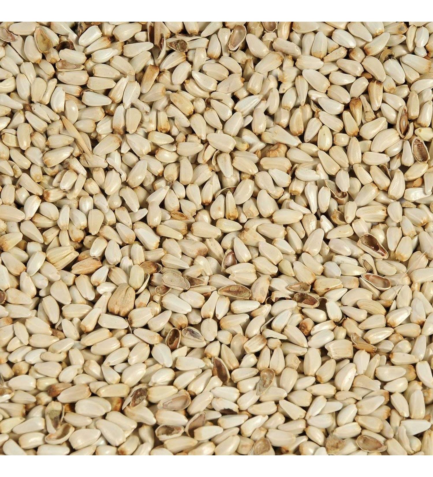 Safflower Seed for Cardinals Nuthatches and Chickadee