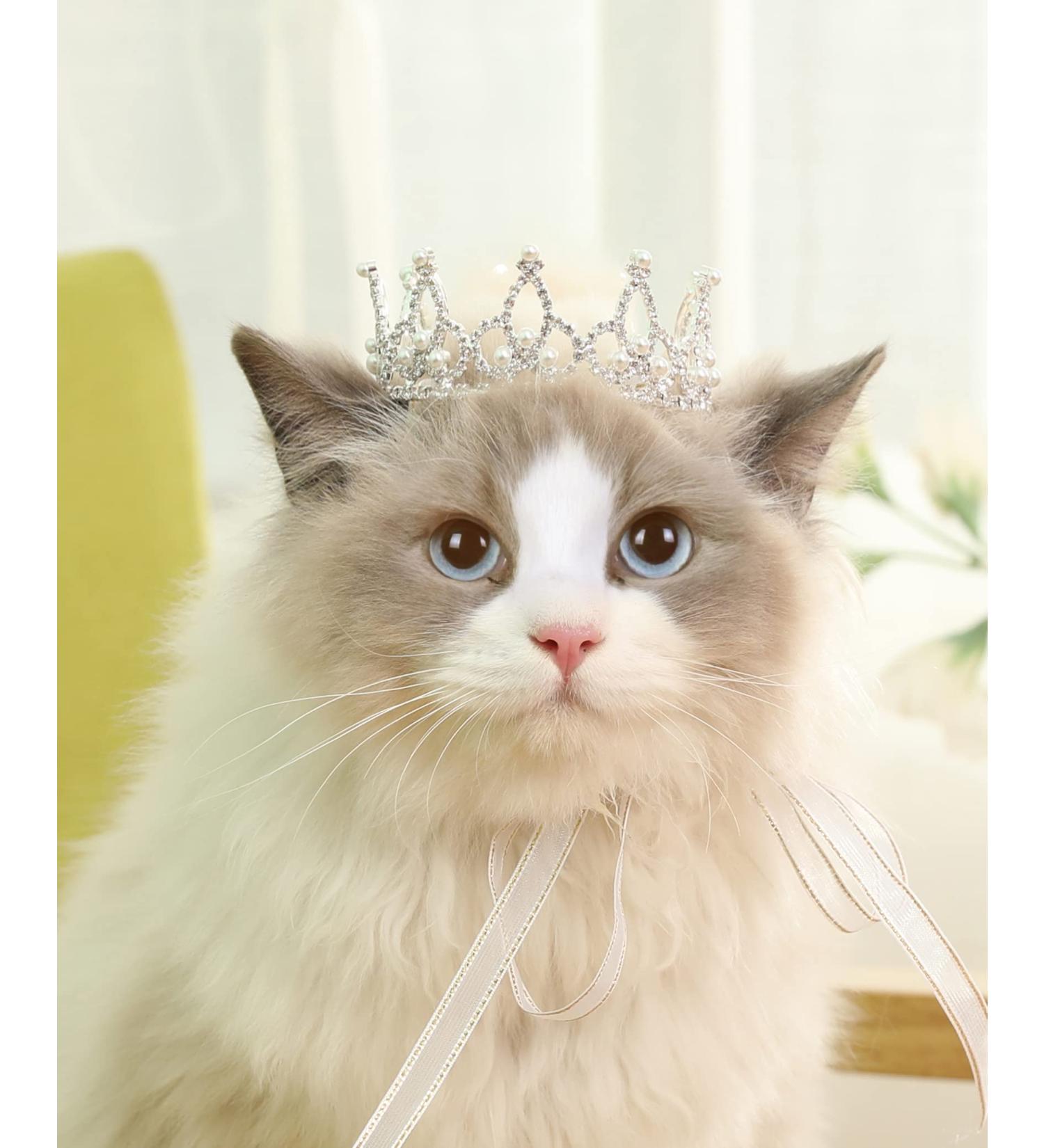 Lovelyshop Pet Series Silver Plated Royal Rhinestone Pearl Full Round Dog/Cat Crown for Rolyal Family Costume Hair Accessories-Small Size Small Silver - Buy Online on GoSupps.com