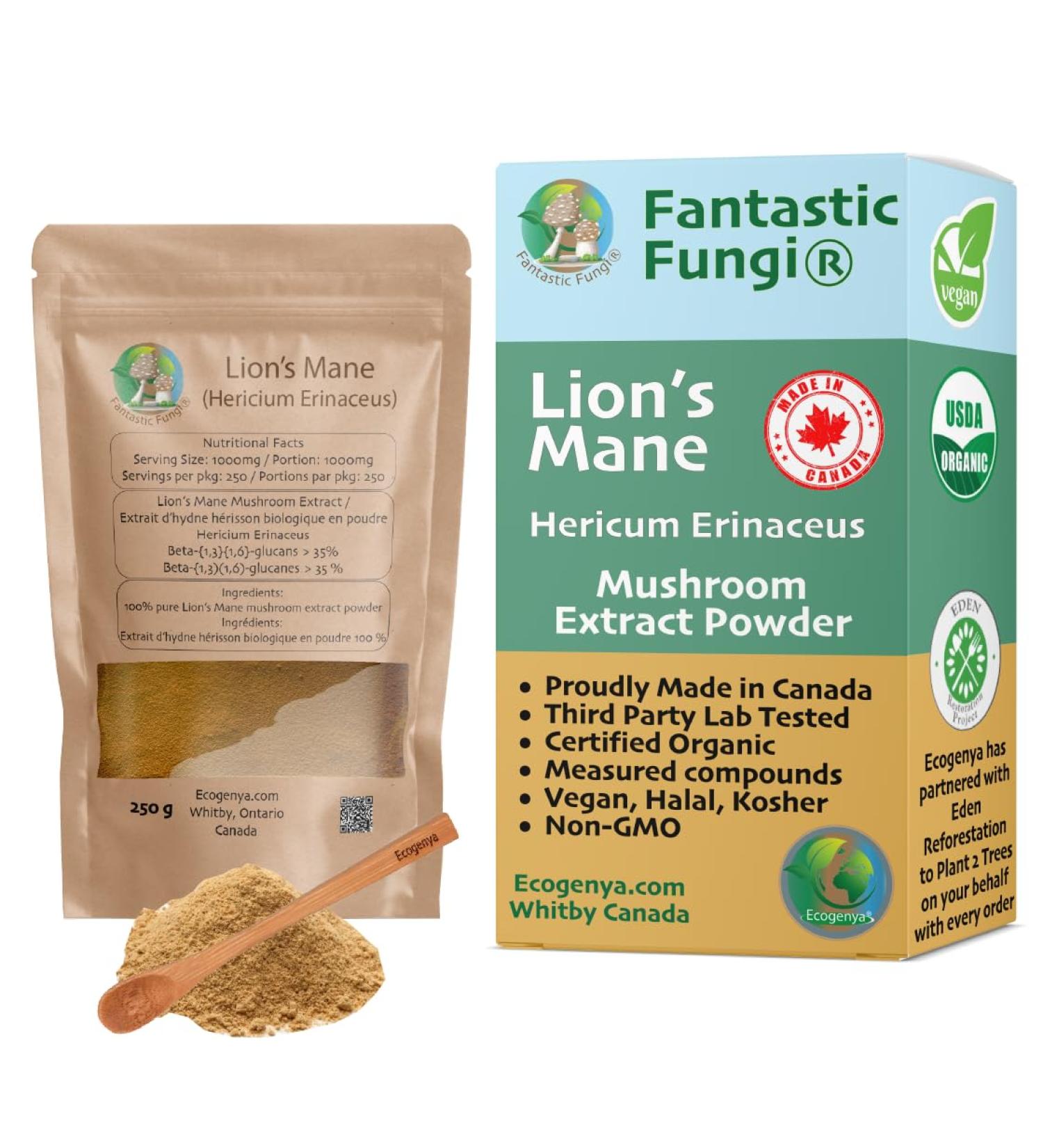 Organic Lions Mane mushroom powder extract by Ecogenya - Proudly Canadian fruiting body extract Value Pack (250 Grams) 250 g (Pack of 1) - Buy Online on GoSupps.com