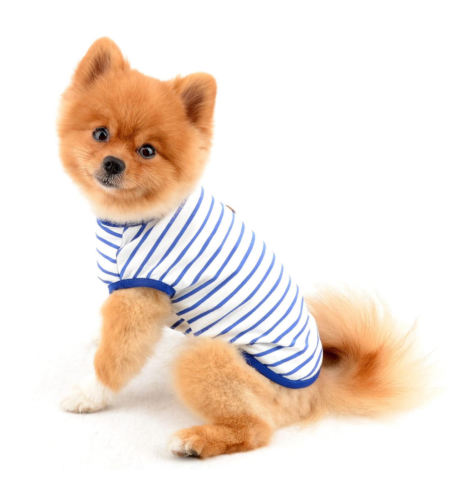 Paidful British Dog Shirt | Soft Cotton Striped Vest for Dogs & Cats | Summer Pet T-Shirt for Puppies Chihuahuas & Yorkies - Blue XL - Buy Online on GoSupps.com