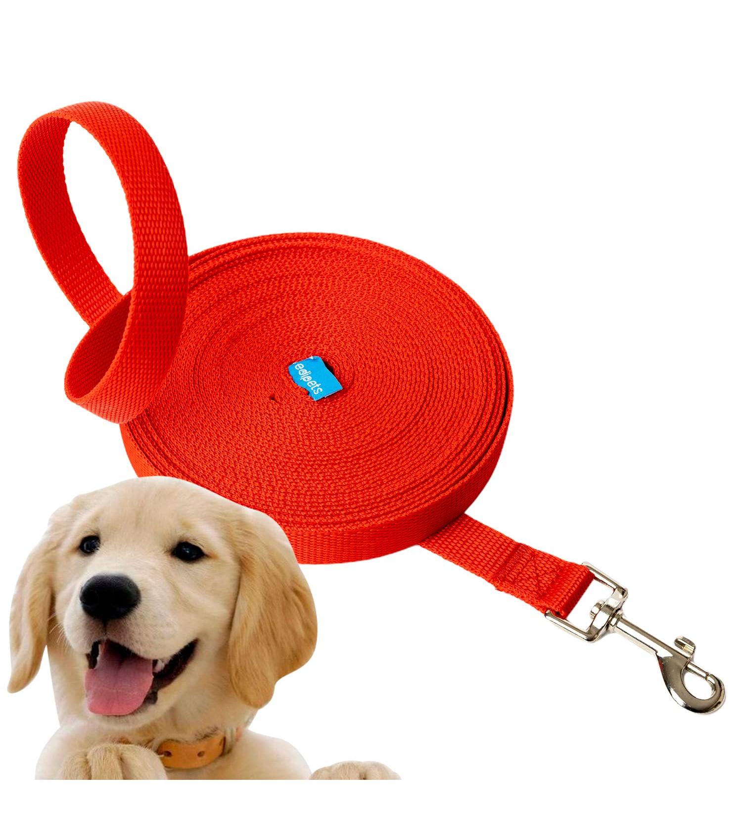 Buy Edipets Waterproof Dog Tow Line - 5m Red Training Leash for All Dog Sizes - Durable & Versatile - Buy Online on GoSupps.com