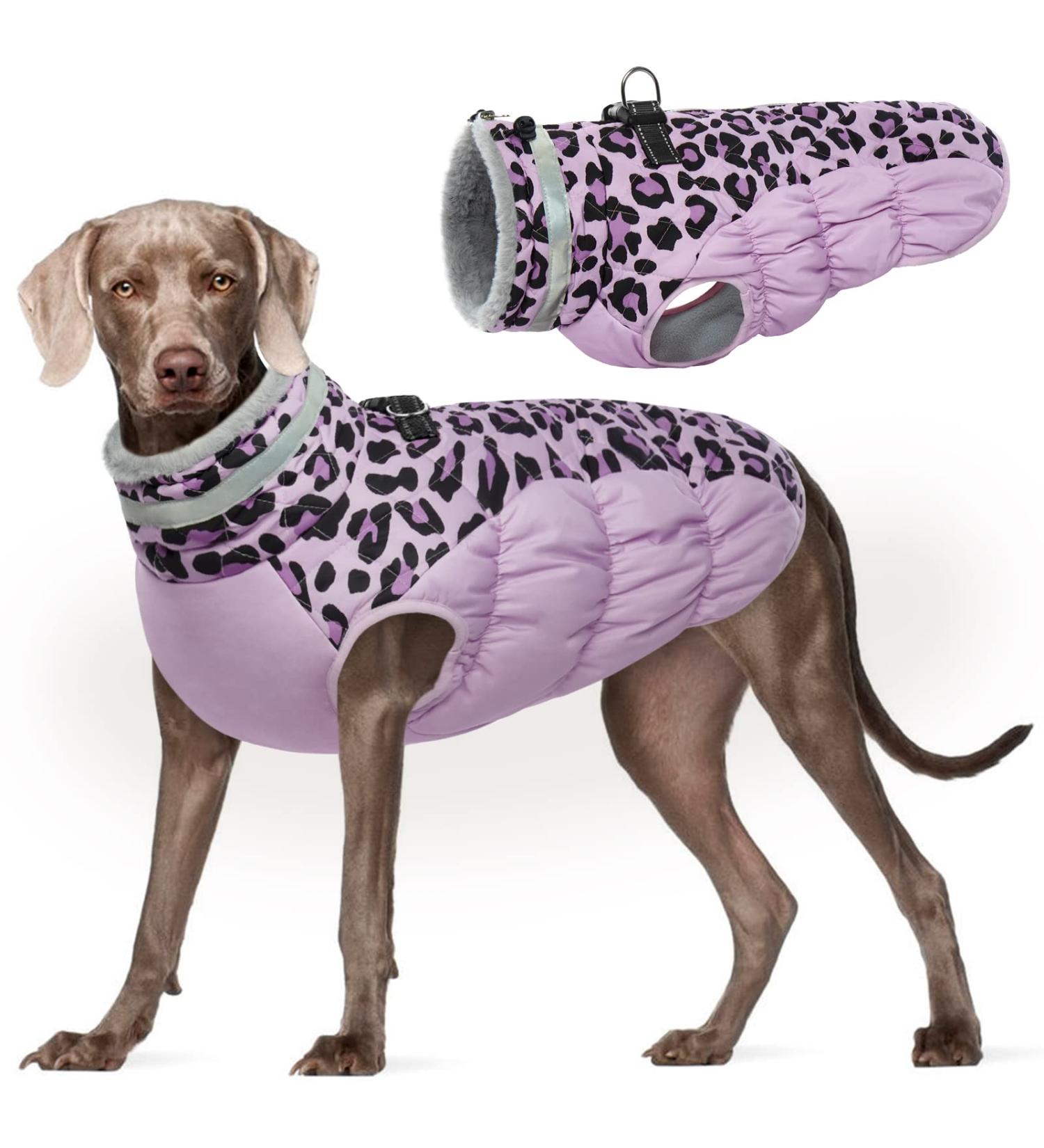 Kuoser Reflective Windproof Dog Jacket - Warm Winter Coat for Small & Large Dogs - XXL Purple Fashion Dog Coat - Buy Online on GoSupps.com