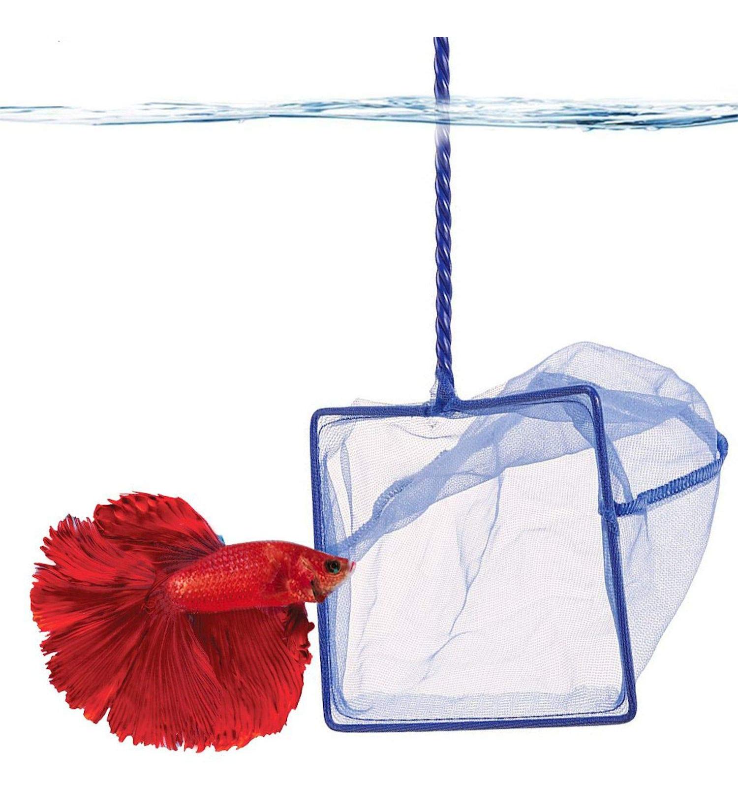 SunGrow Betta Fish Net - 5x4 Inches with 11 Inches Handle - Extra Soft Nylon for Delicate Fin Protection - Ideal for Easy Aquarium Tank Maintenance - Buy Online on GoSupps.com