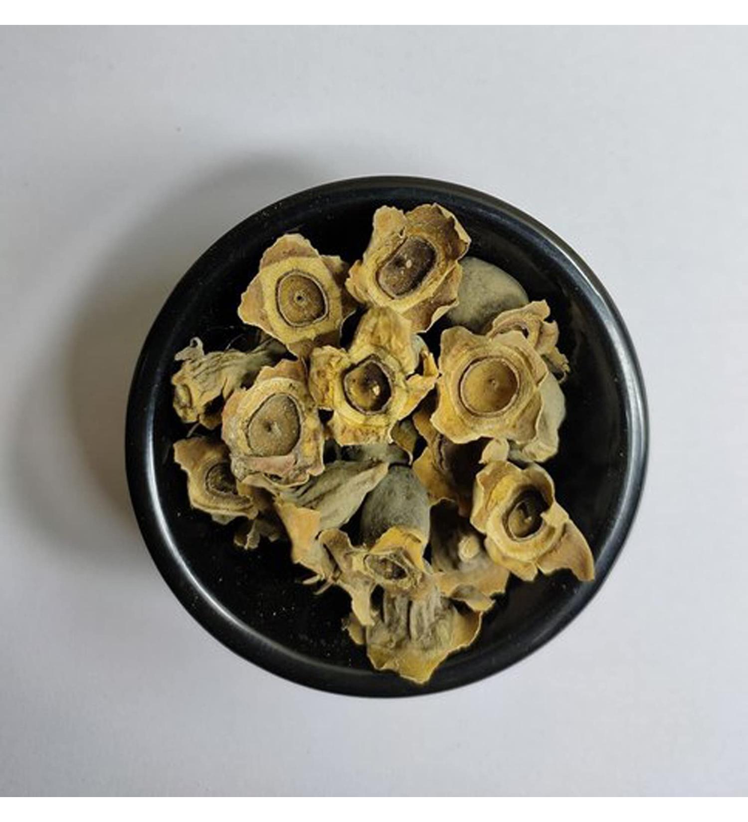 Bay Khumba-Careya Arborea-Raw Herbs-Vakumbha-Kumbhi-Baikhumba-Single Herbs-Jadi Booti (100 Gram) 100 g (Pack of 1) - Buy Online on GoSupps.com
