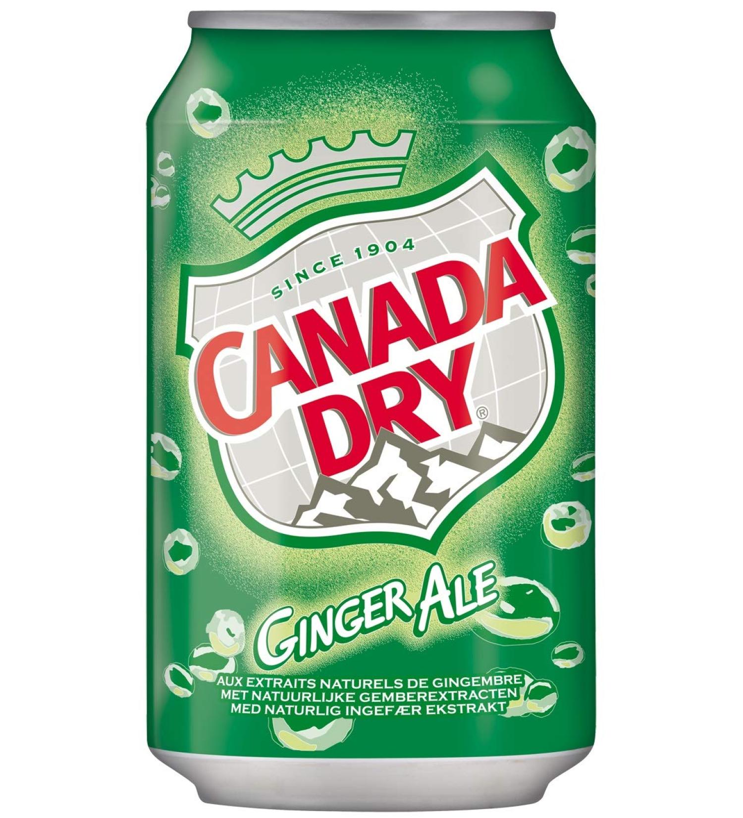 Canada Dry Ginger Ale (24 x 0.33L can) DISPOSABLE incl. free FiveStar ballpoint pen Ginger 330 ml (pack of 24)