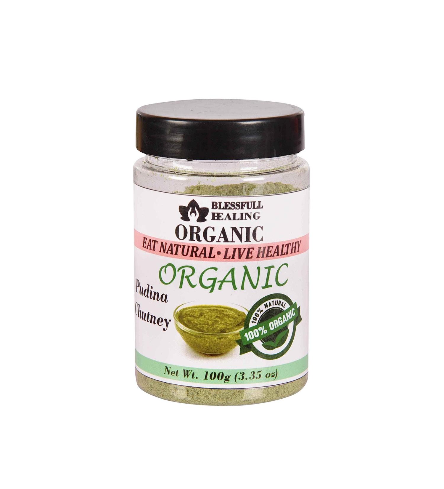 Blessfull Healing Organic Pudina Chutney 100 Gram Airtight Container (Packing May Vary) 100 Gram 3.35 oz - Buy Online on GoSupps.com