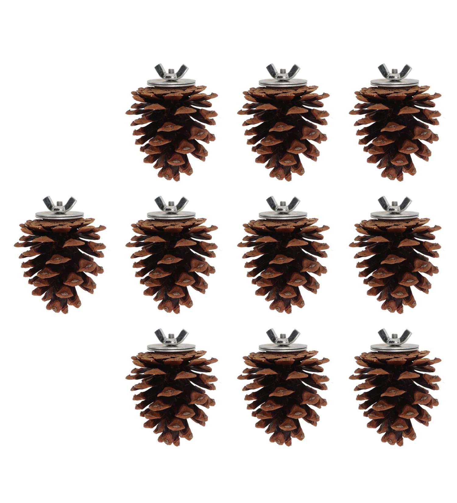 Shanrya Bird Molar Pine Cone Toy Nut Fix Parrots Chewing Pine Cones for Conure for Cockatiel - Buy Online on GoSupps.com