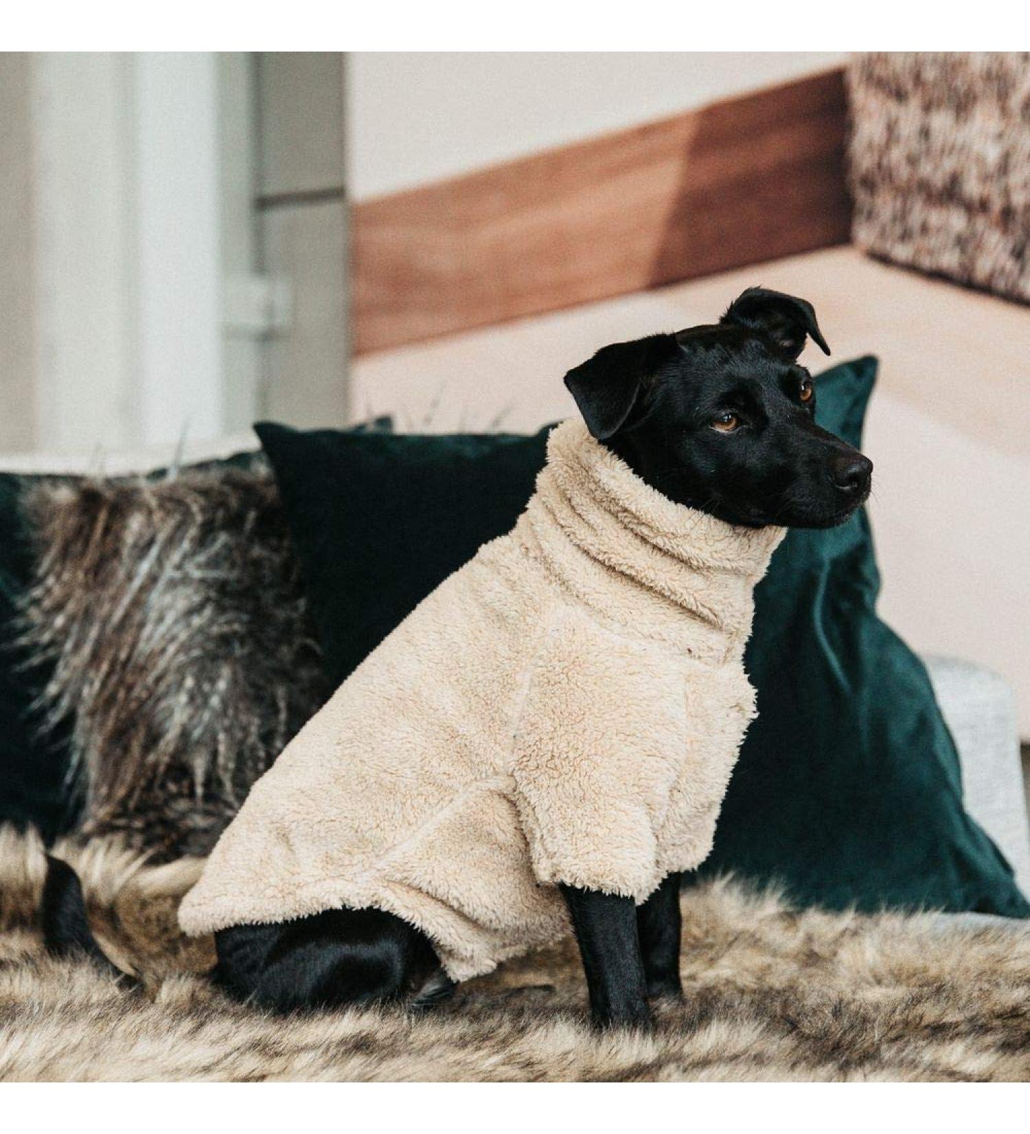 Kentucky Dogwear Teddy Fleece Dog Sweater Beige S/M | Cozy & Stylish Dog Apparel for Your Pet - Buy Online on GoSupps.com