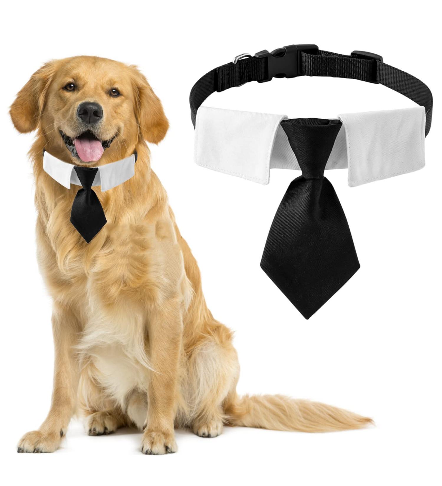 Buy Hacraho Dog Tie - Adjustable Smoking Neck Band Collar with Quick Lock Buckle (L) | International Shipping Available - Buy Online on GoSupps.com
